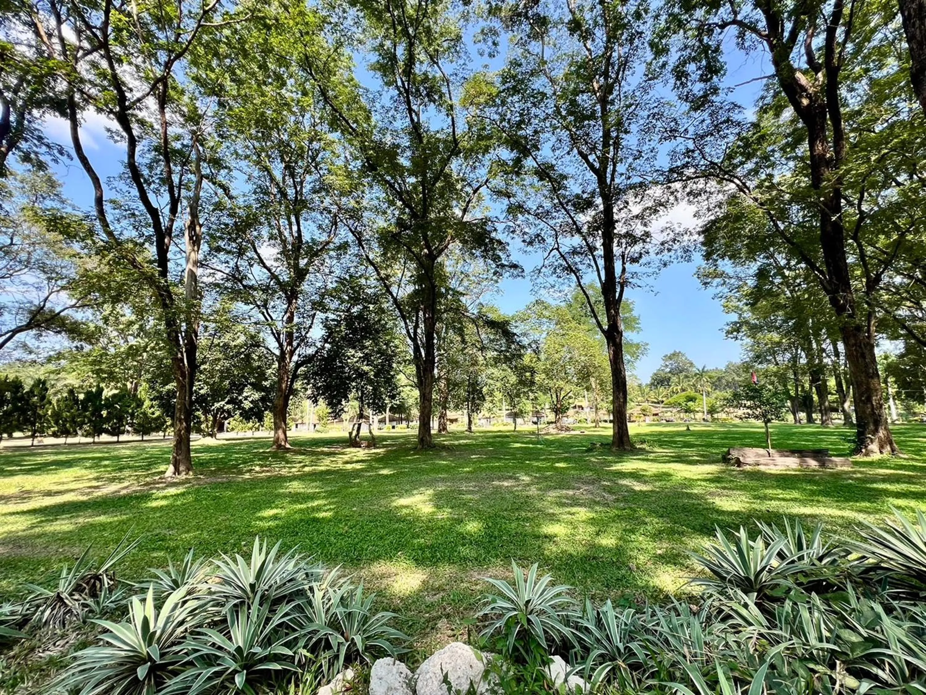 Natural landscape in Fahluang Resort