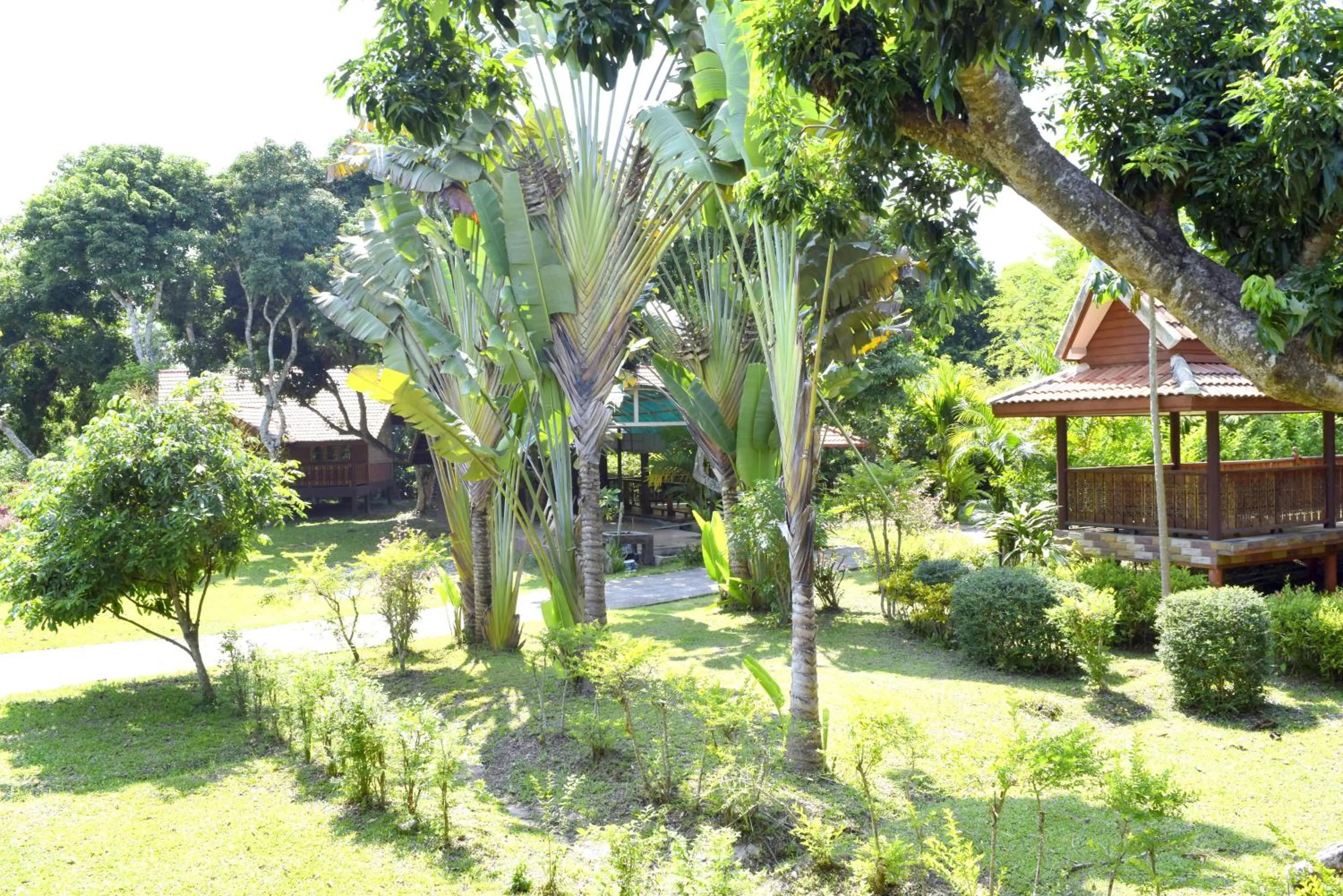 Garden view in Siam Tara Resort Chiangkhong