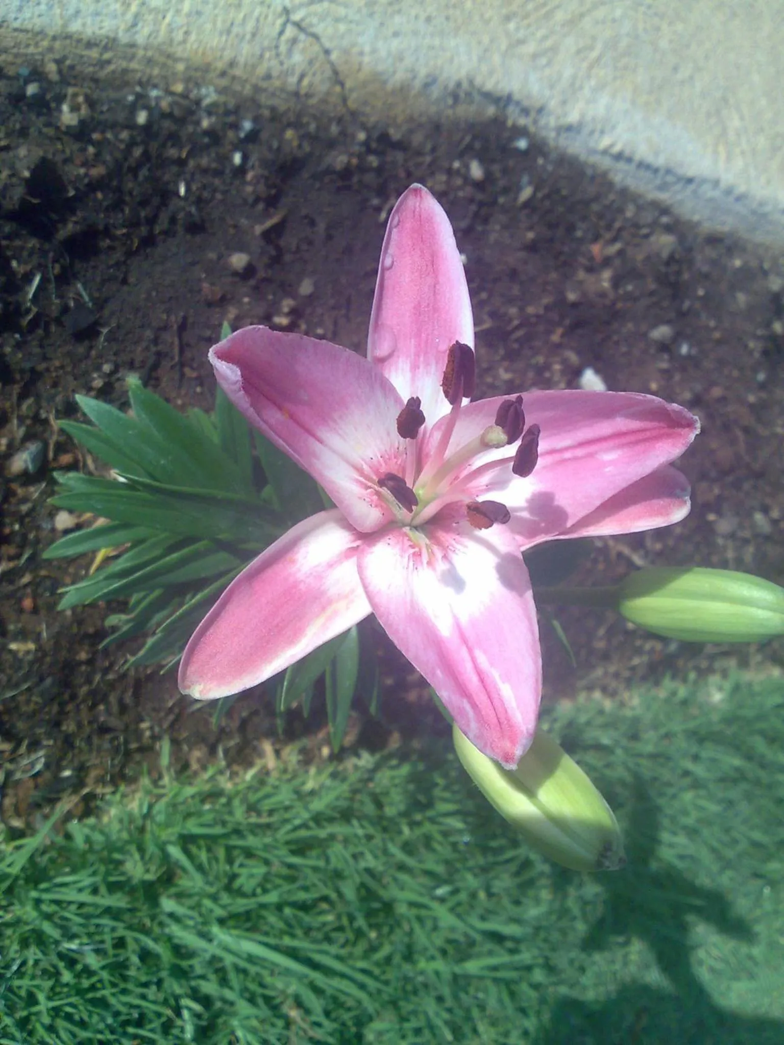 Decorative detail in Kwa-Eden Hotels and Conferencing
