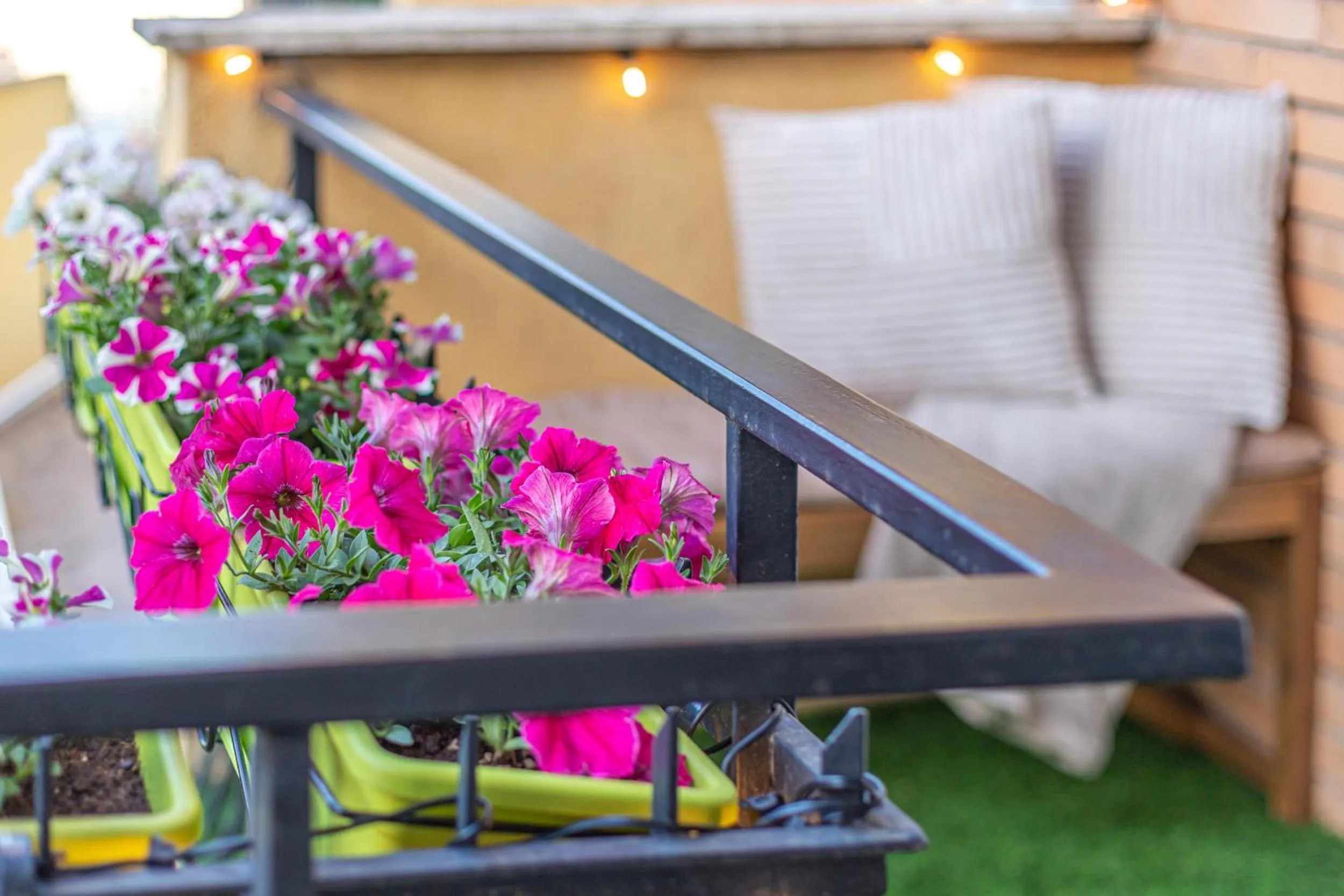 Spring in San Pietro Panoramic View