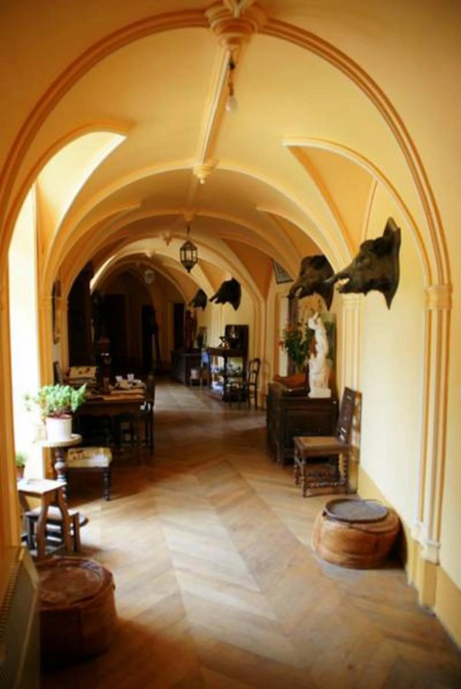 Library in Chateau de Bresse sur Grosne