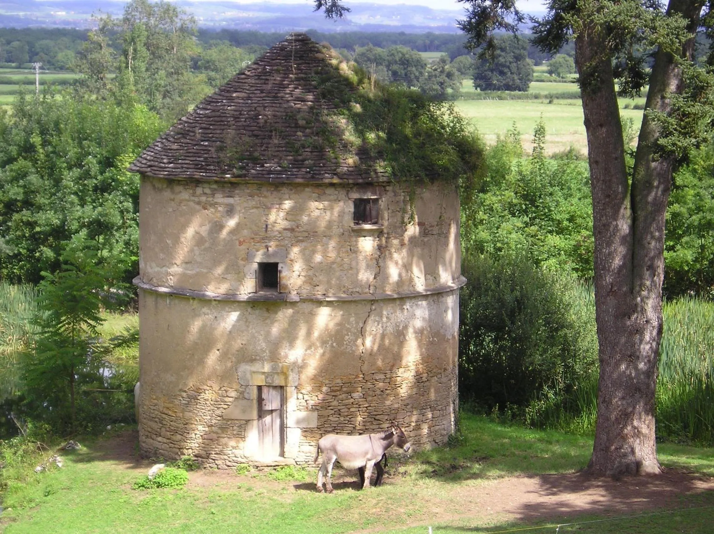 Animals in Chateau de Bresse sur Grosne