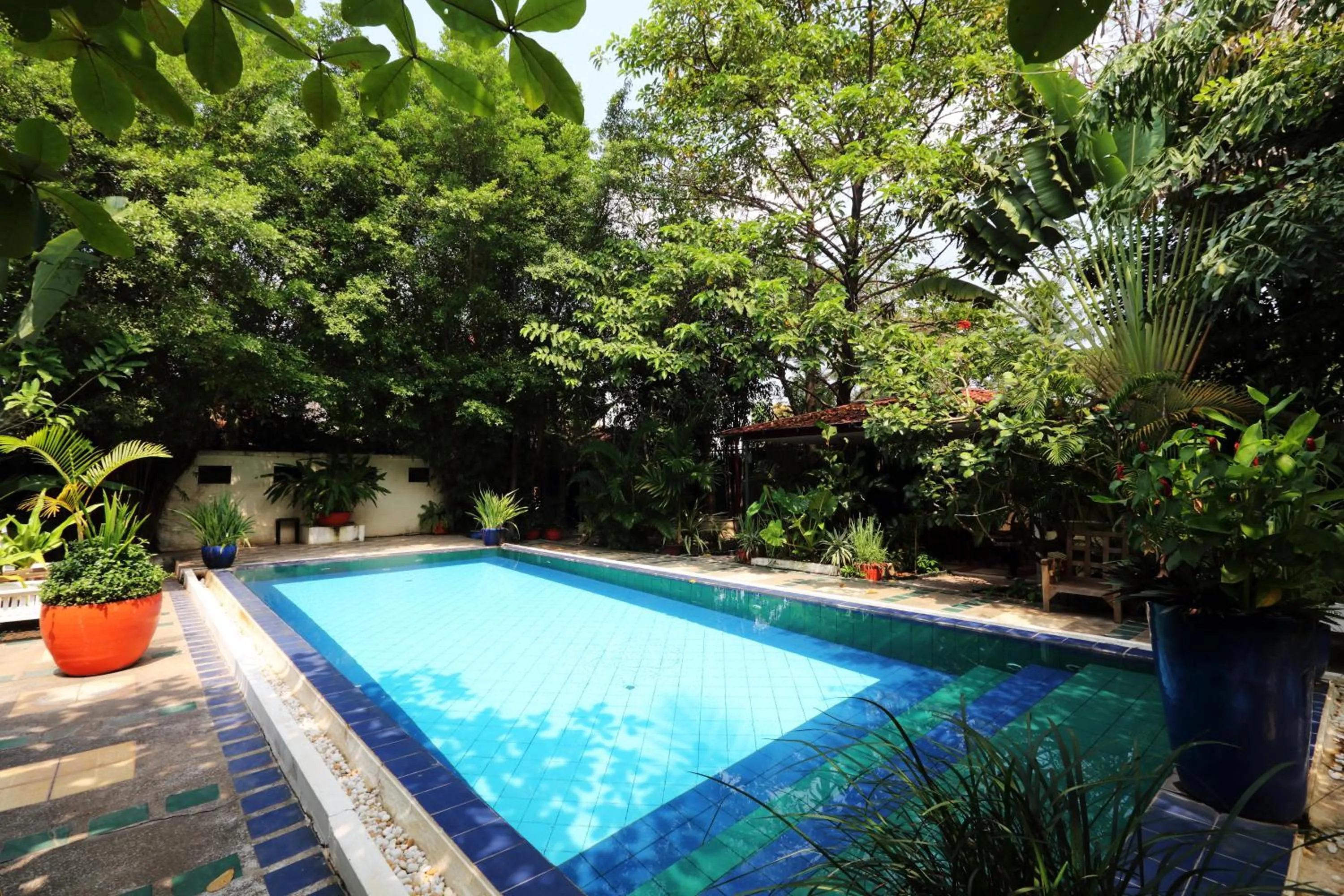 Pool view in The Cockatoo Nature Resort & Spa