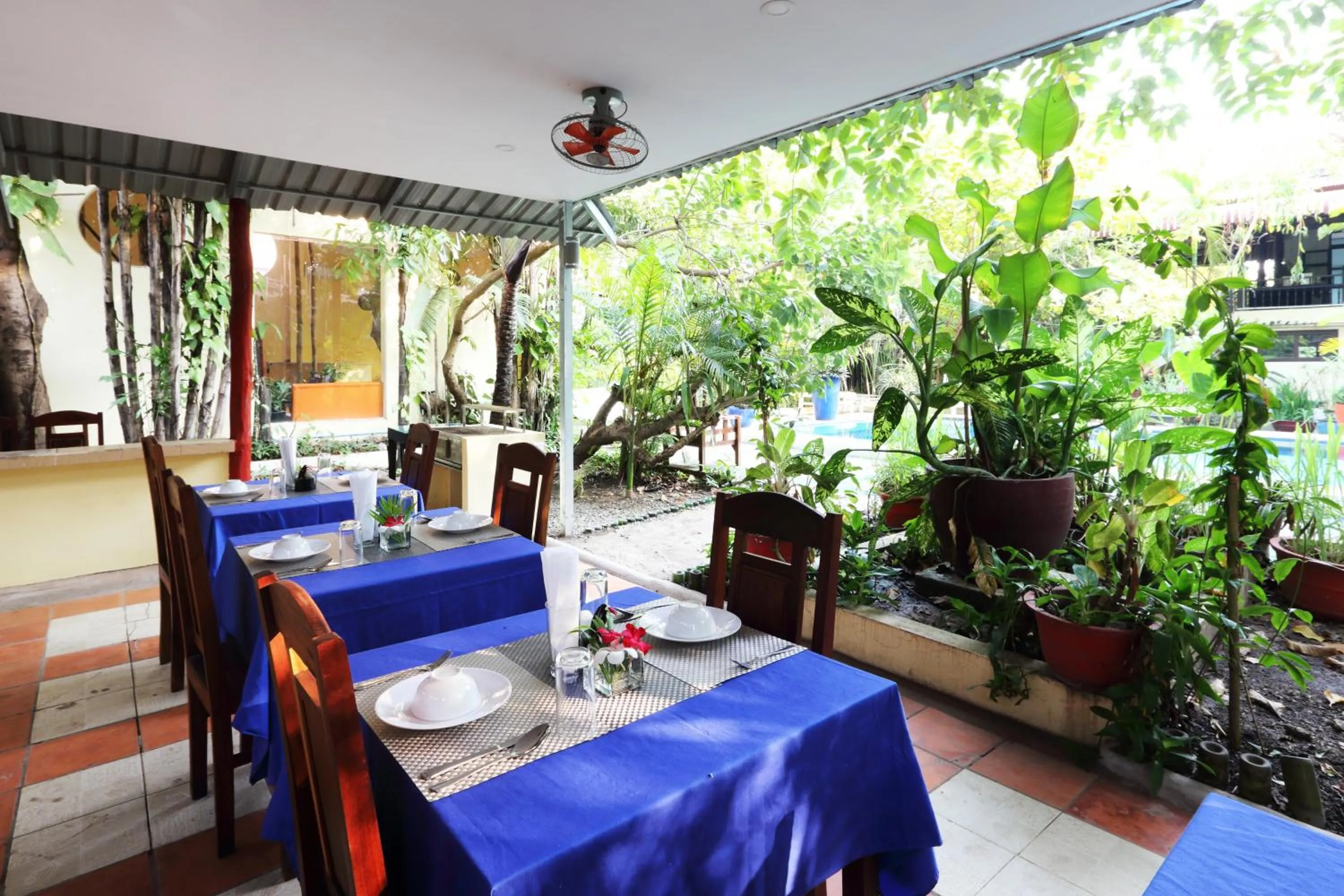 Other in The Cockatoo Nature Resort & Spa