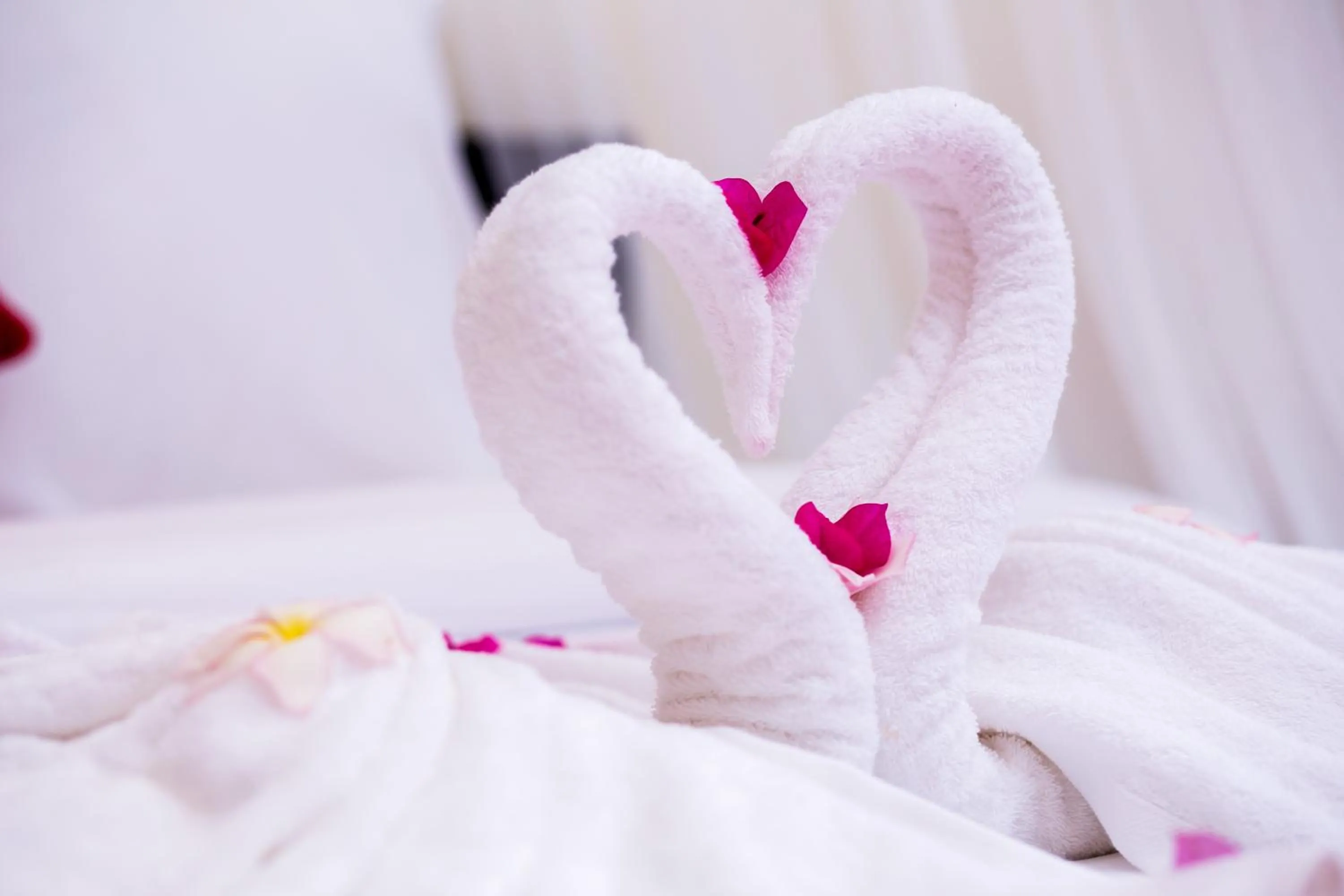 Area and facilities, Bed in The Cockatoo Nature Resort & Spa