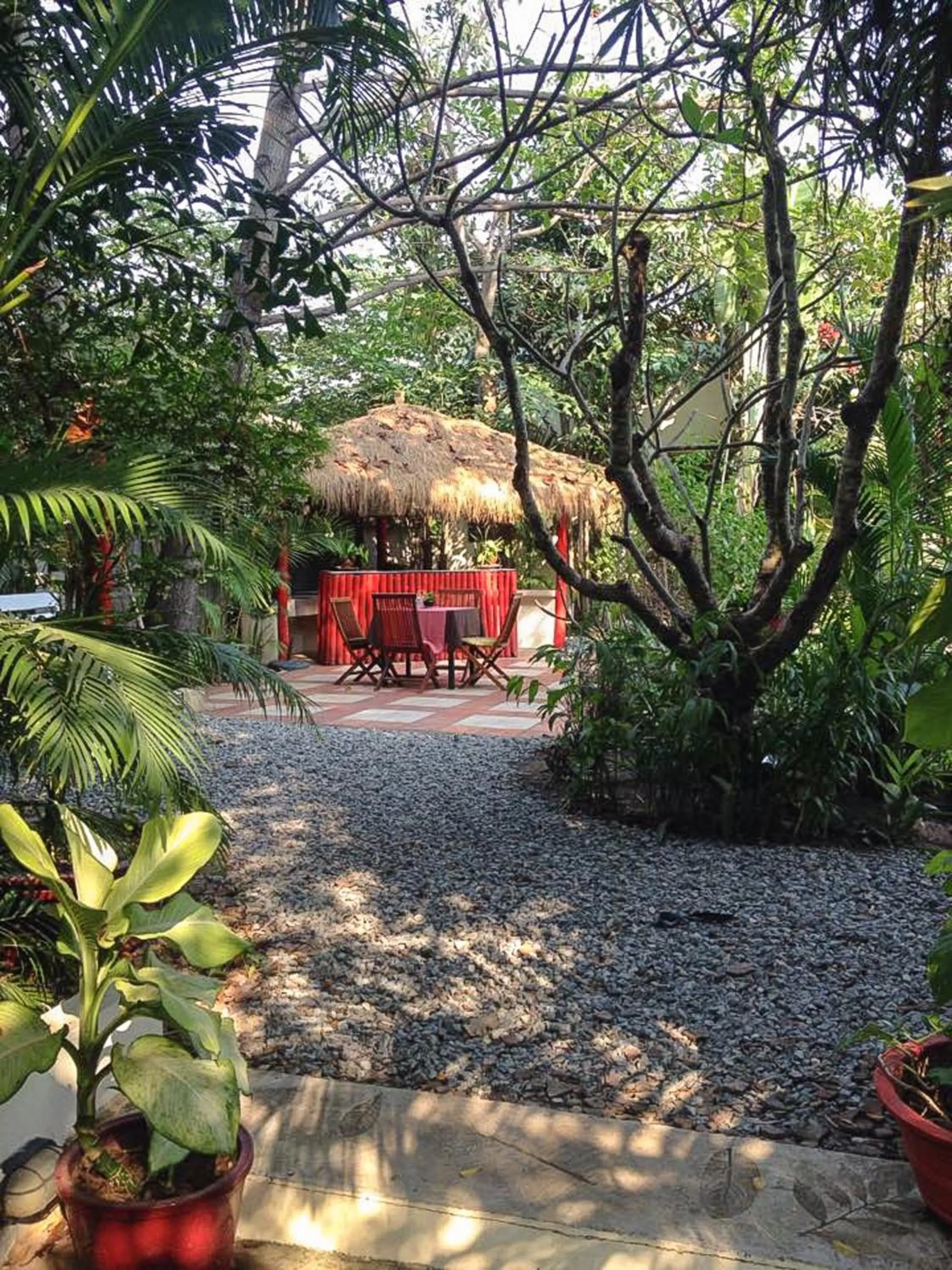 Area and facilities in The Cockatoo Nature Resort & Spa