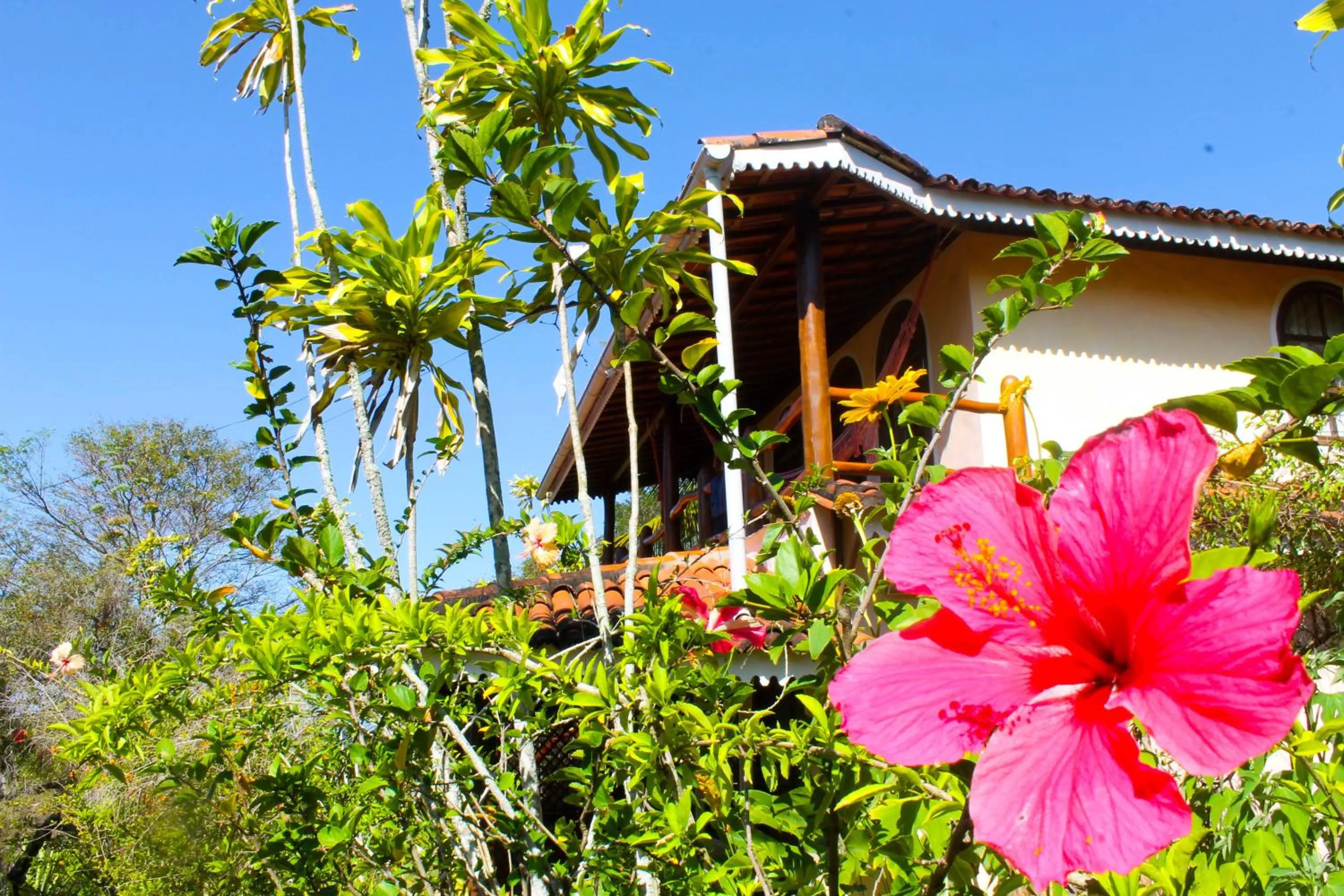 Garden in Pousada Colibri