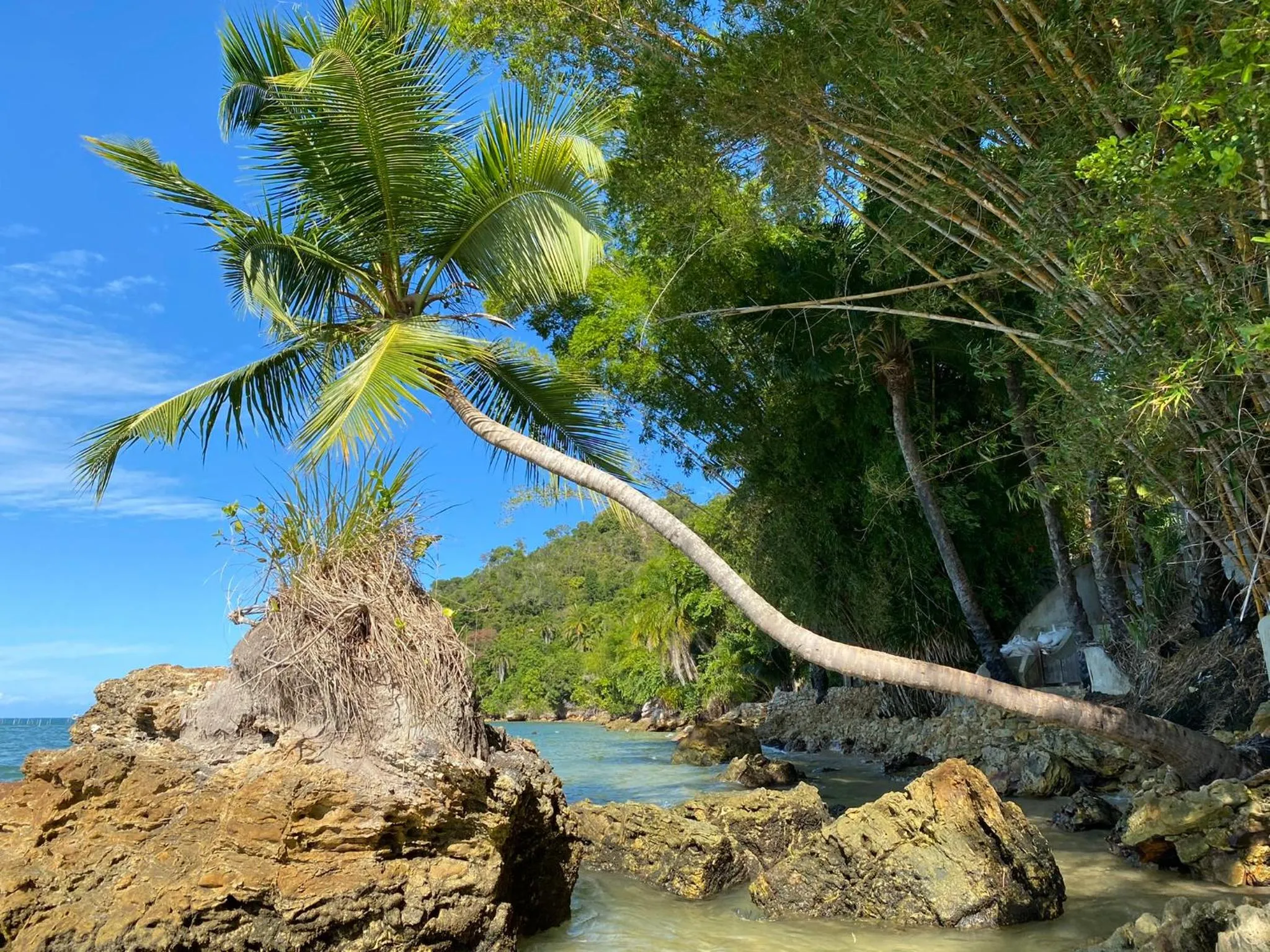 Natural landscape in Pousada Colibri