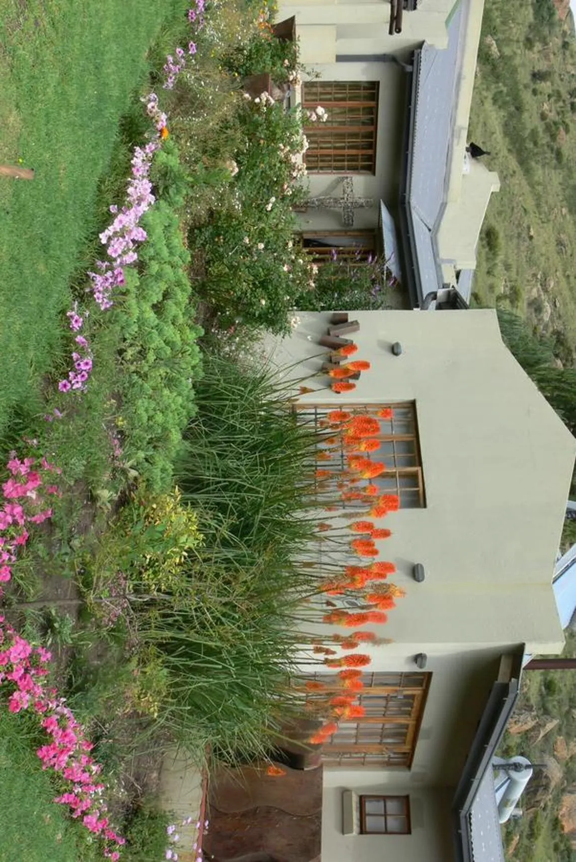 Spring in Aspen Guest House