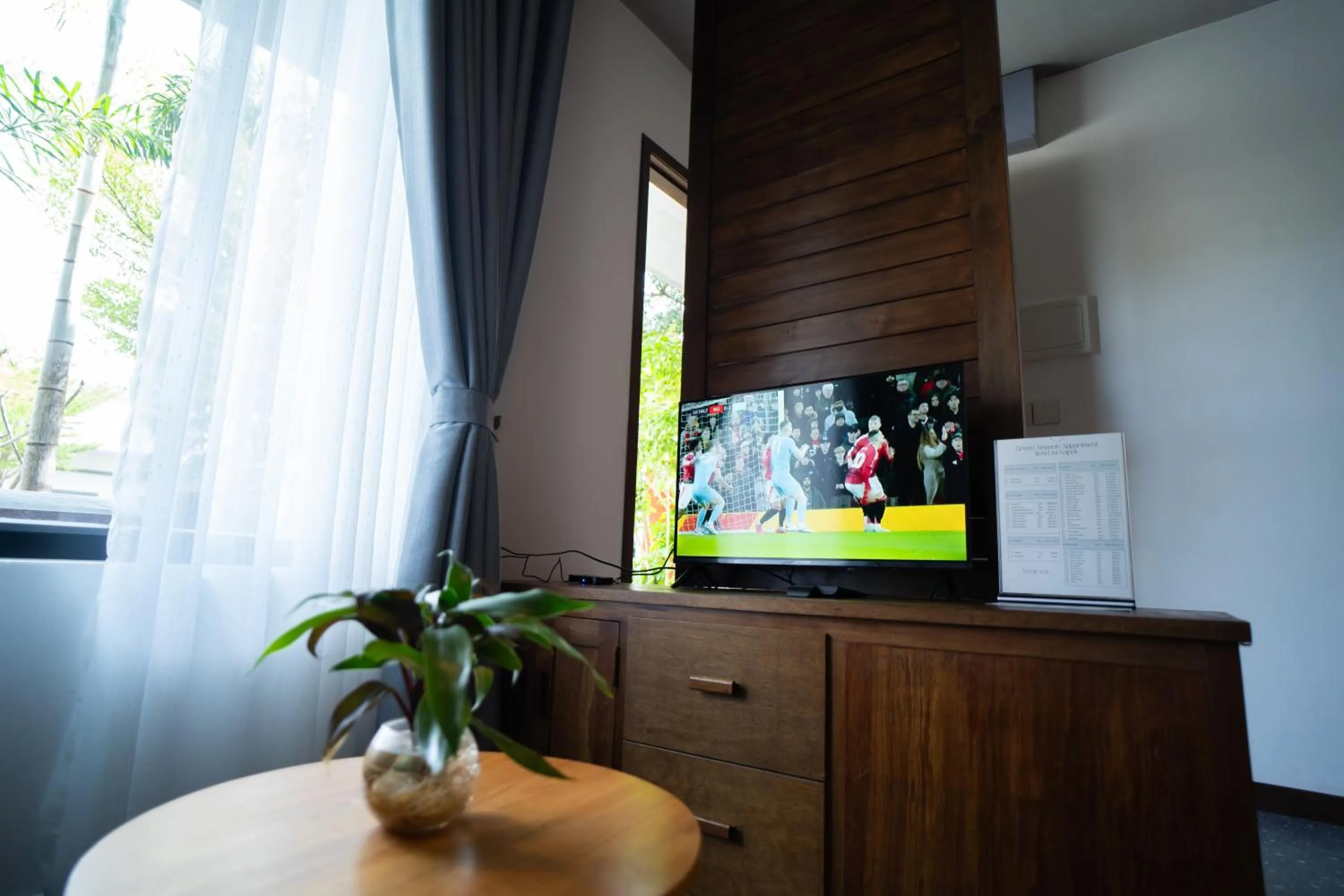 TV and multimedia in Apartment Green Amazon