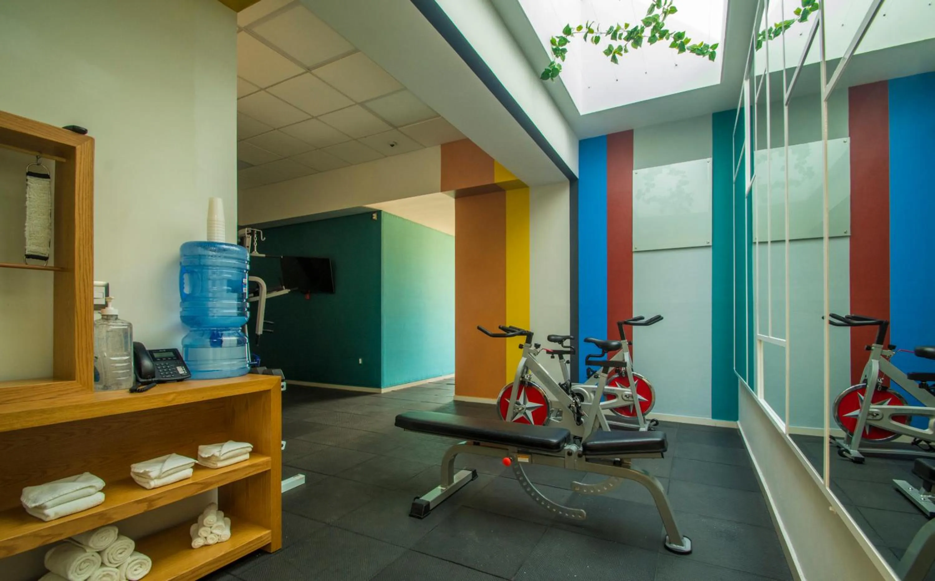 Fitness centre/facilities in Concept Hotel - Centro Zamora