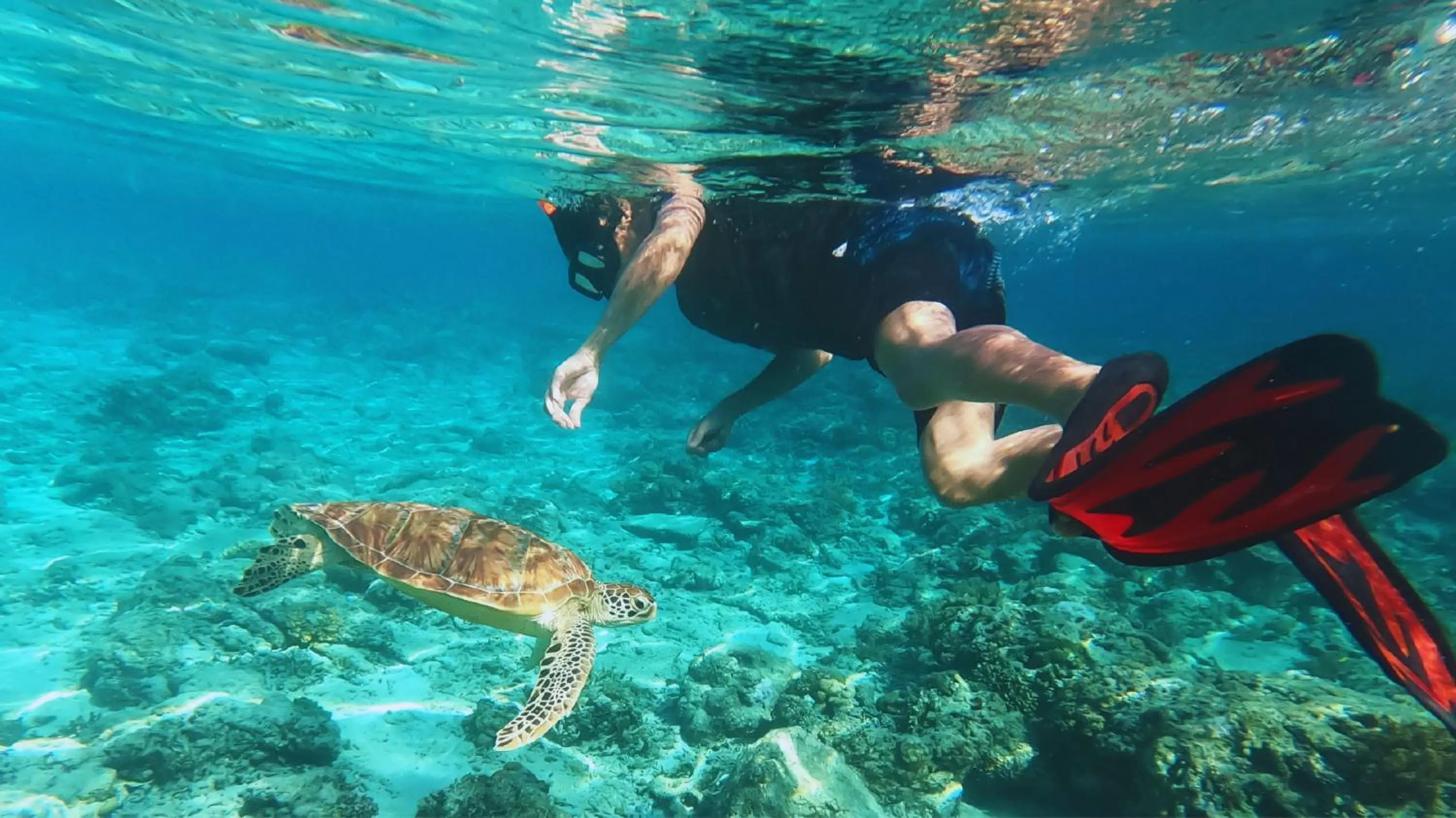 Snorkeling in Arrival Beach and Spa