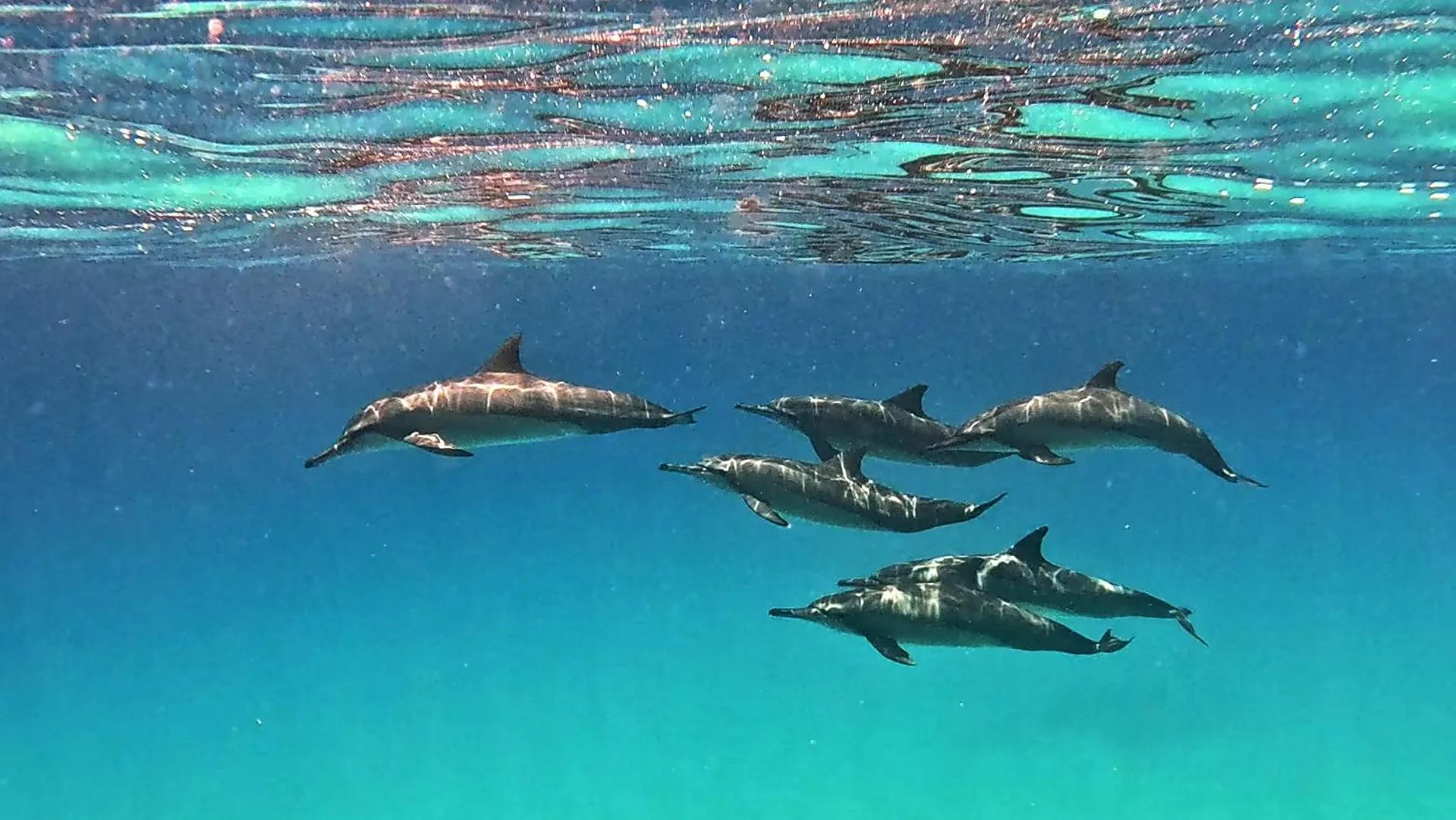 Activities in Arrival Beach and Spa