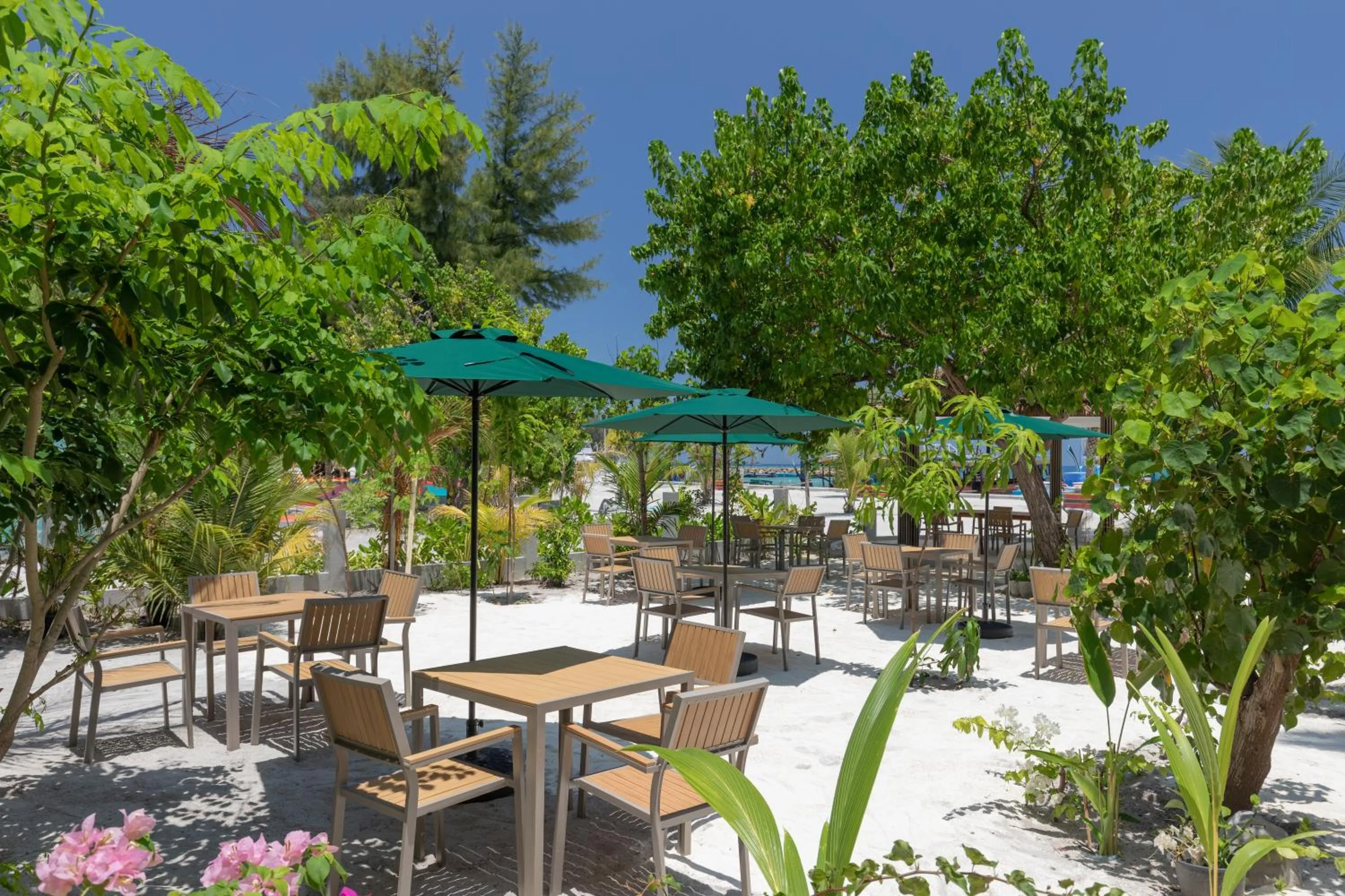 Restaurant/places to eat in Arrival Beach and Spa