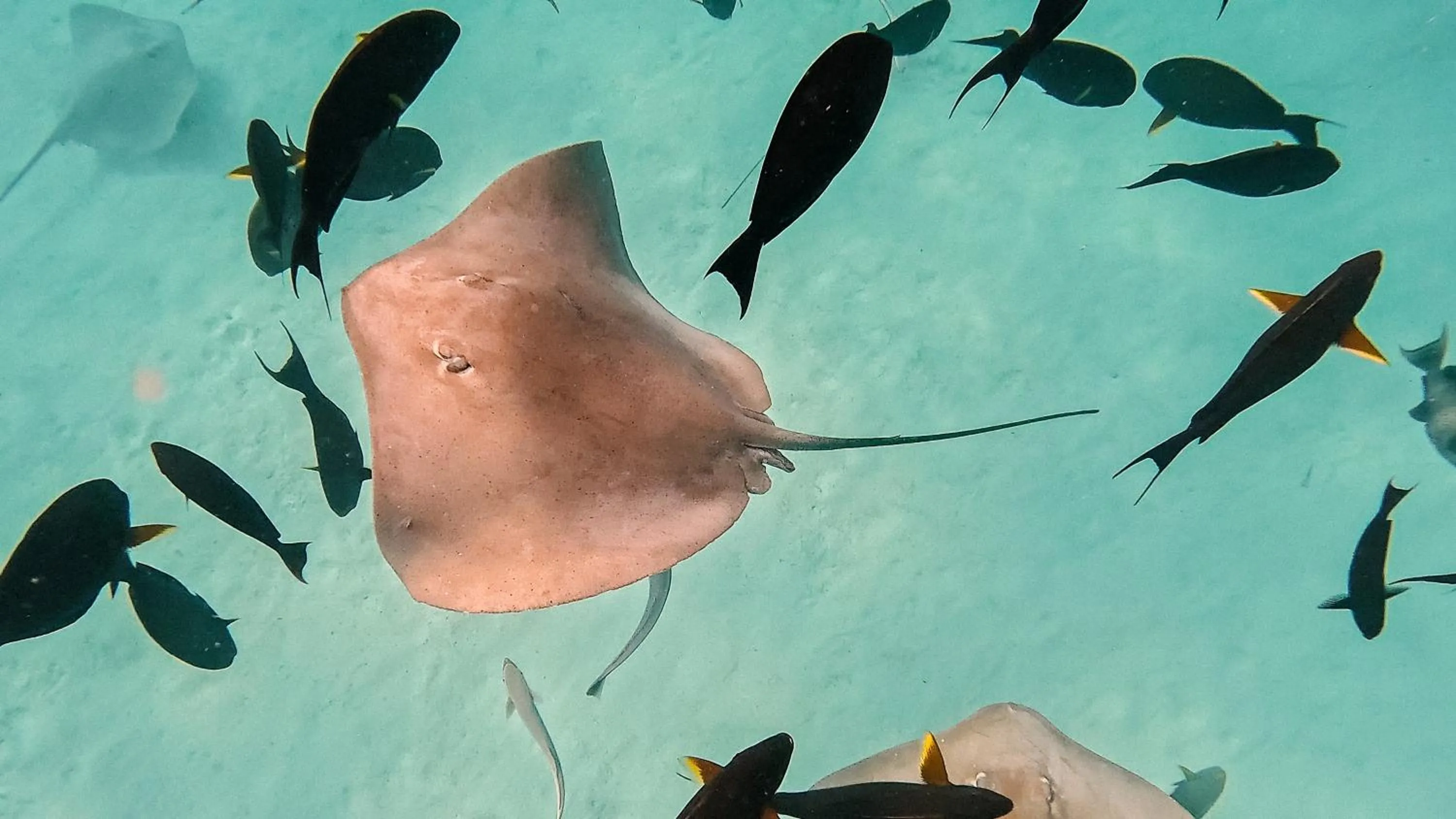 Activities in Arrival Beach and Spa