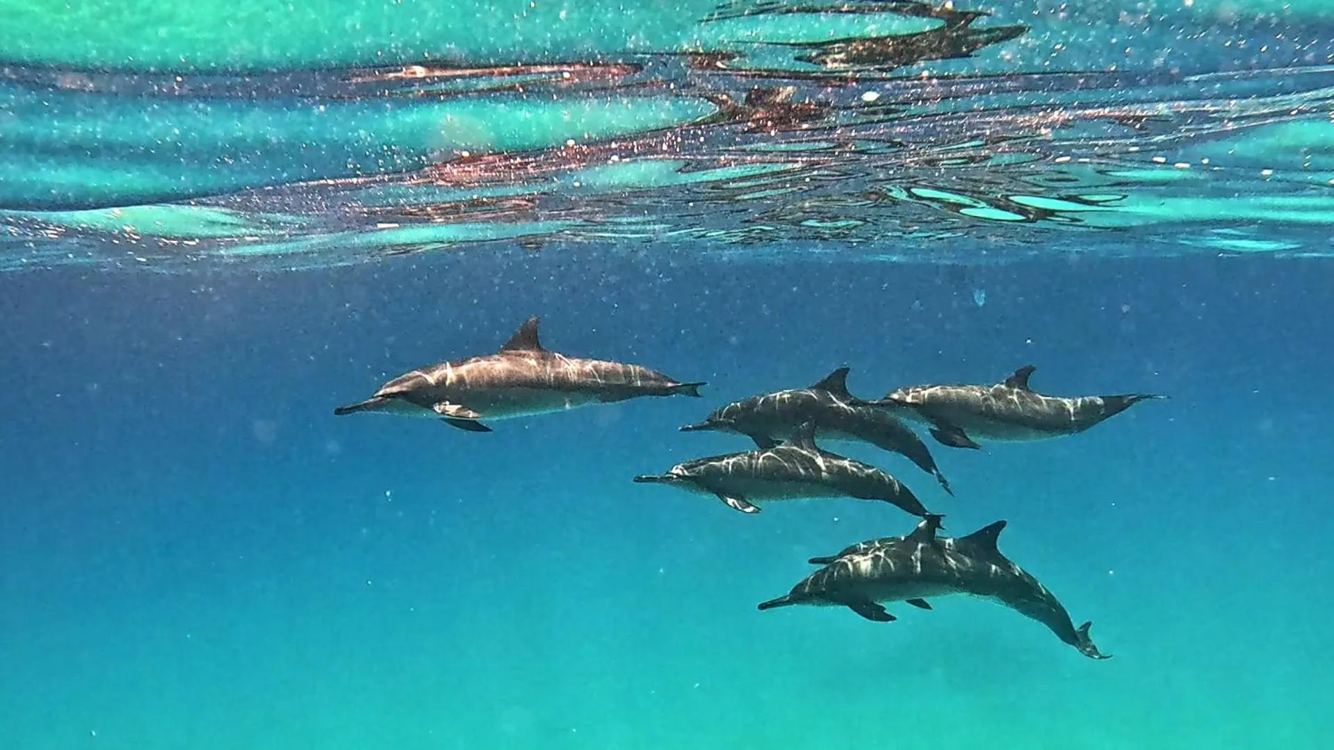 Activities in Arrival Beach and Spa