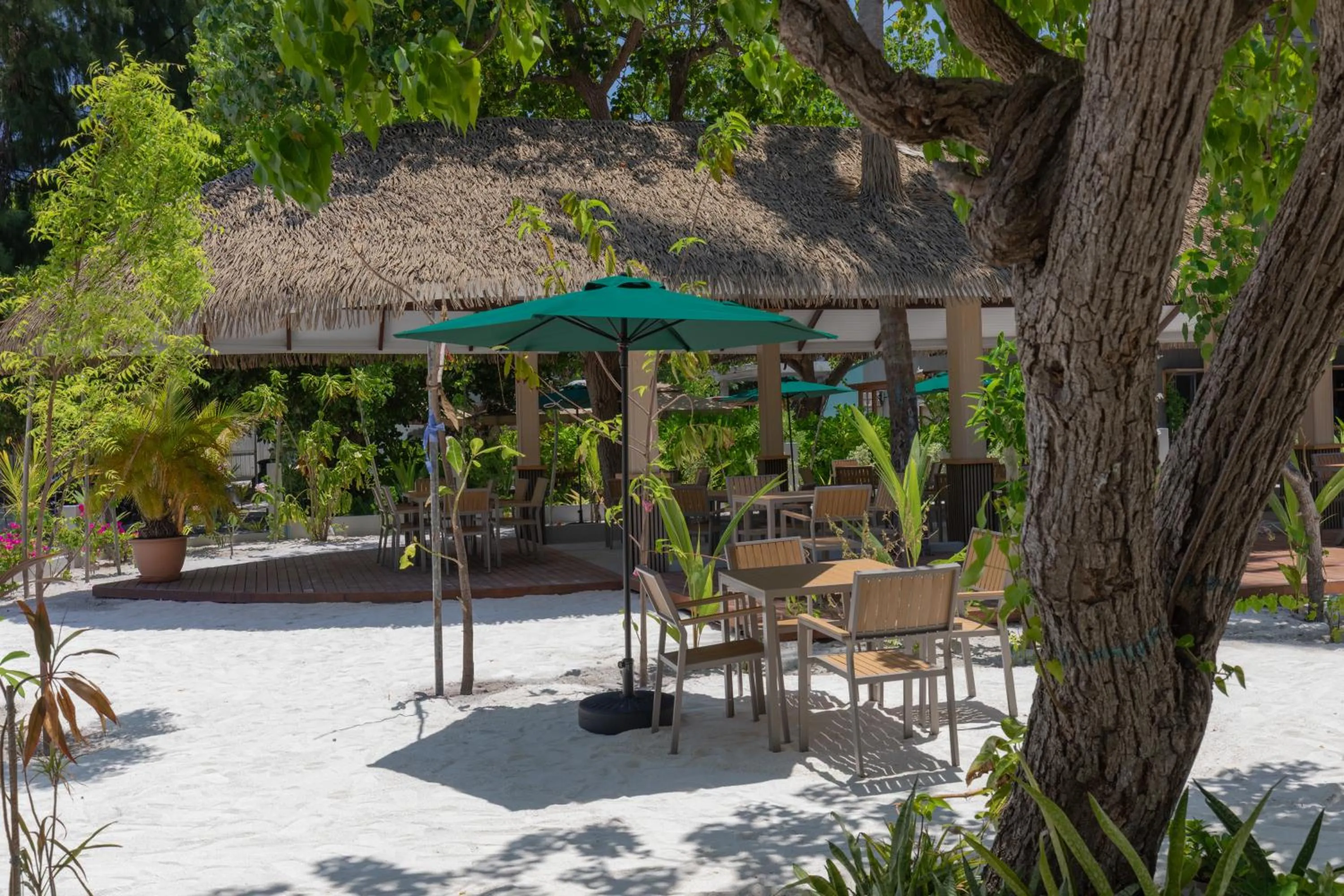 Restaurant/places to eat in Arrival Beach and Spa