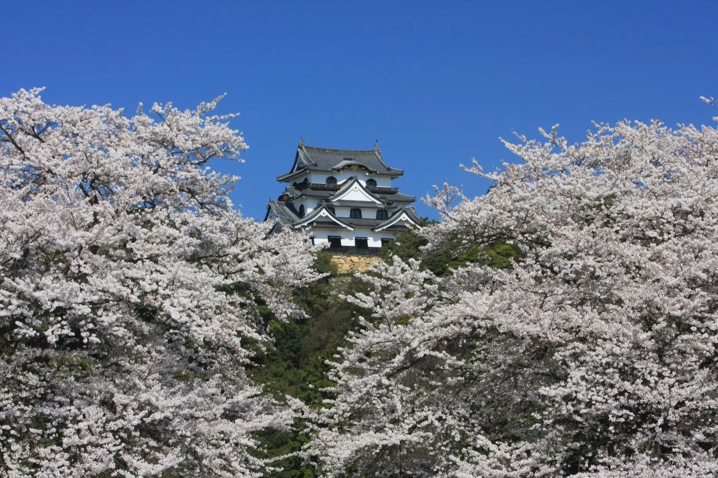 Nearby landmark in Dantokan Kikunoya