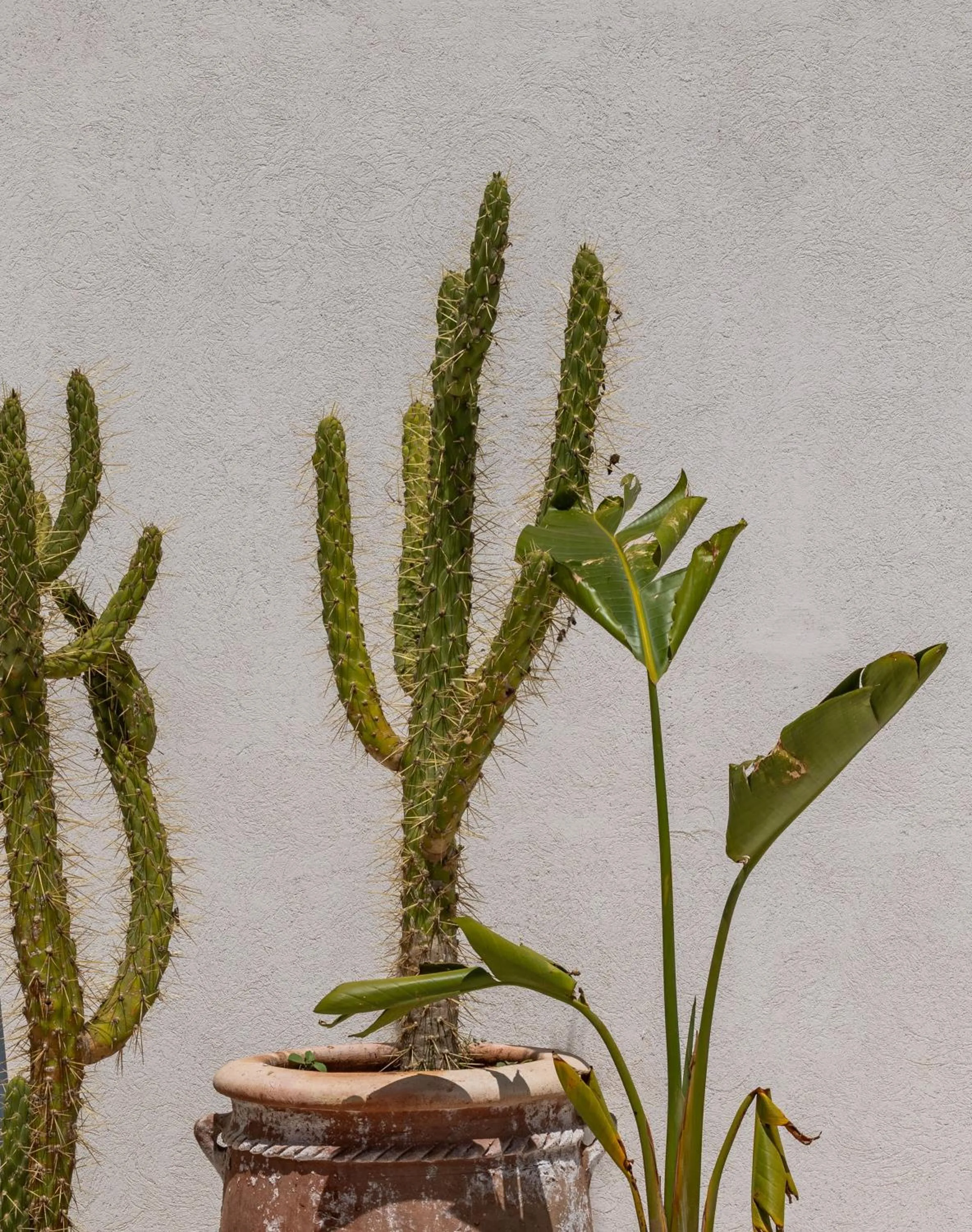 Decorative detail in Yin Hotel & Spa