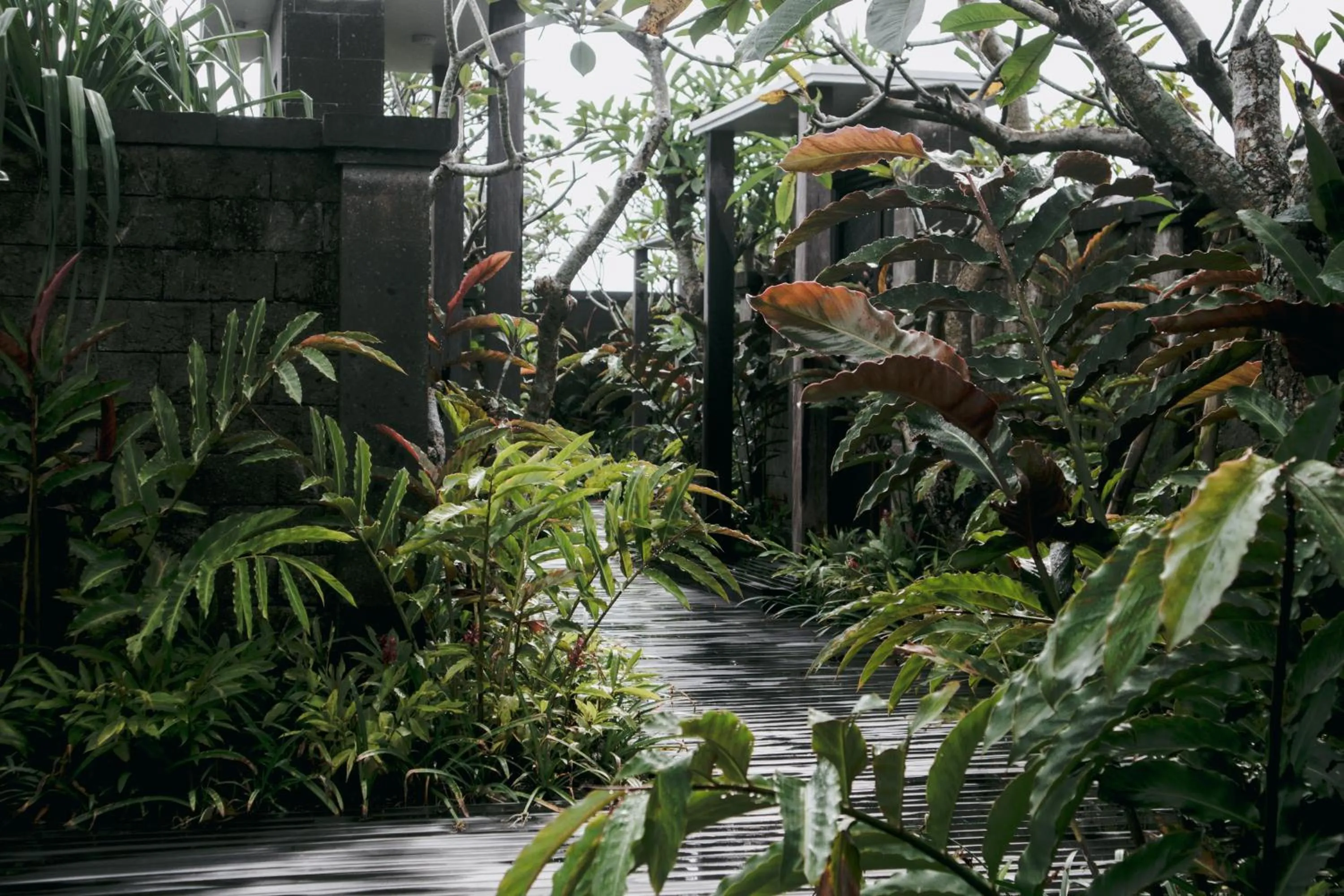 Area and facilities in E Sanctuary Resort Ubud