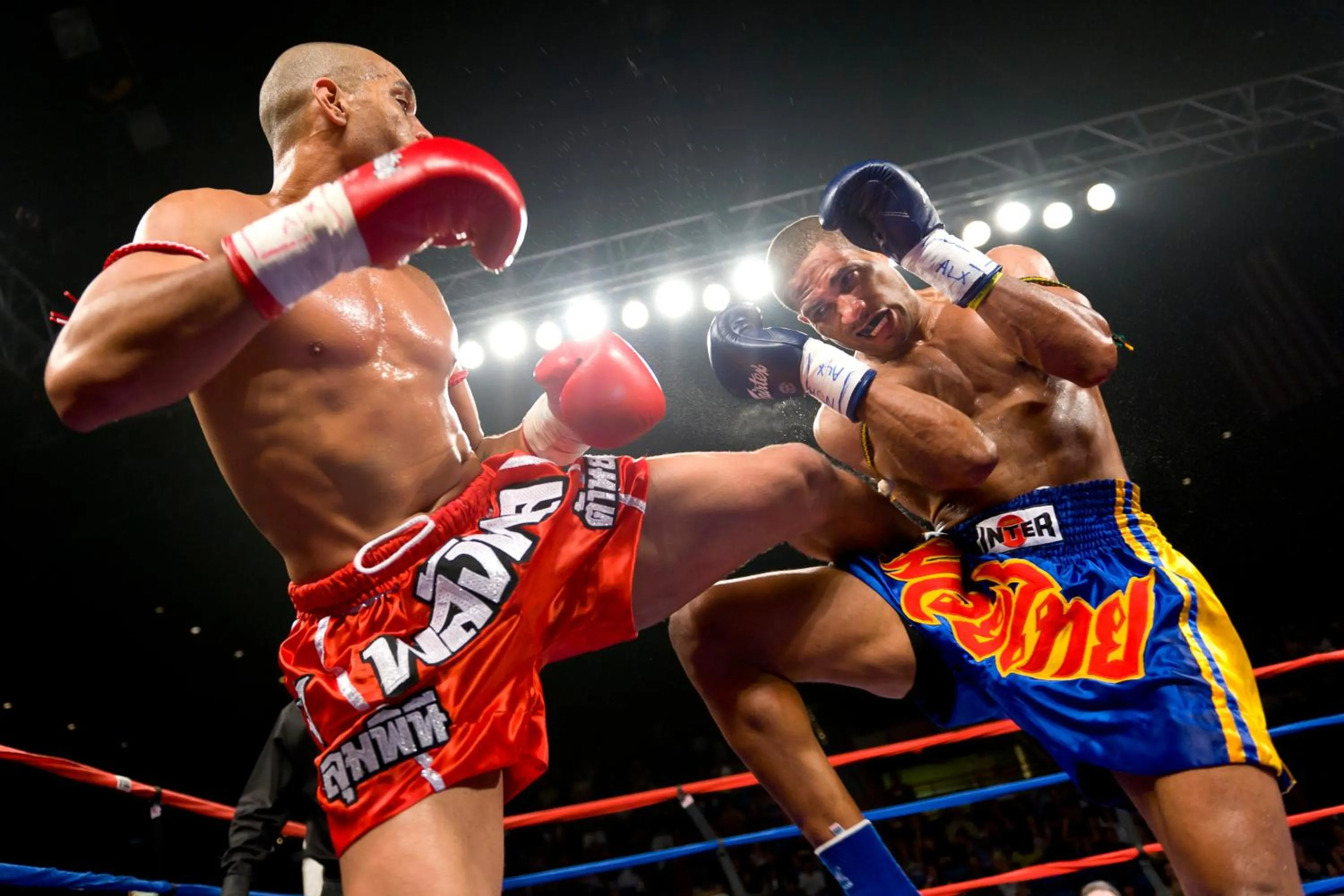 Activities in Songbird Suites