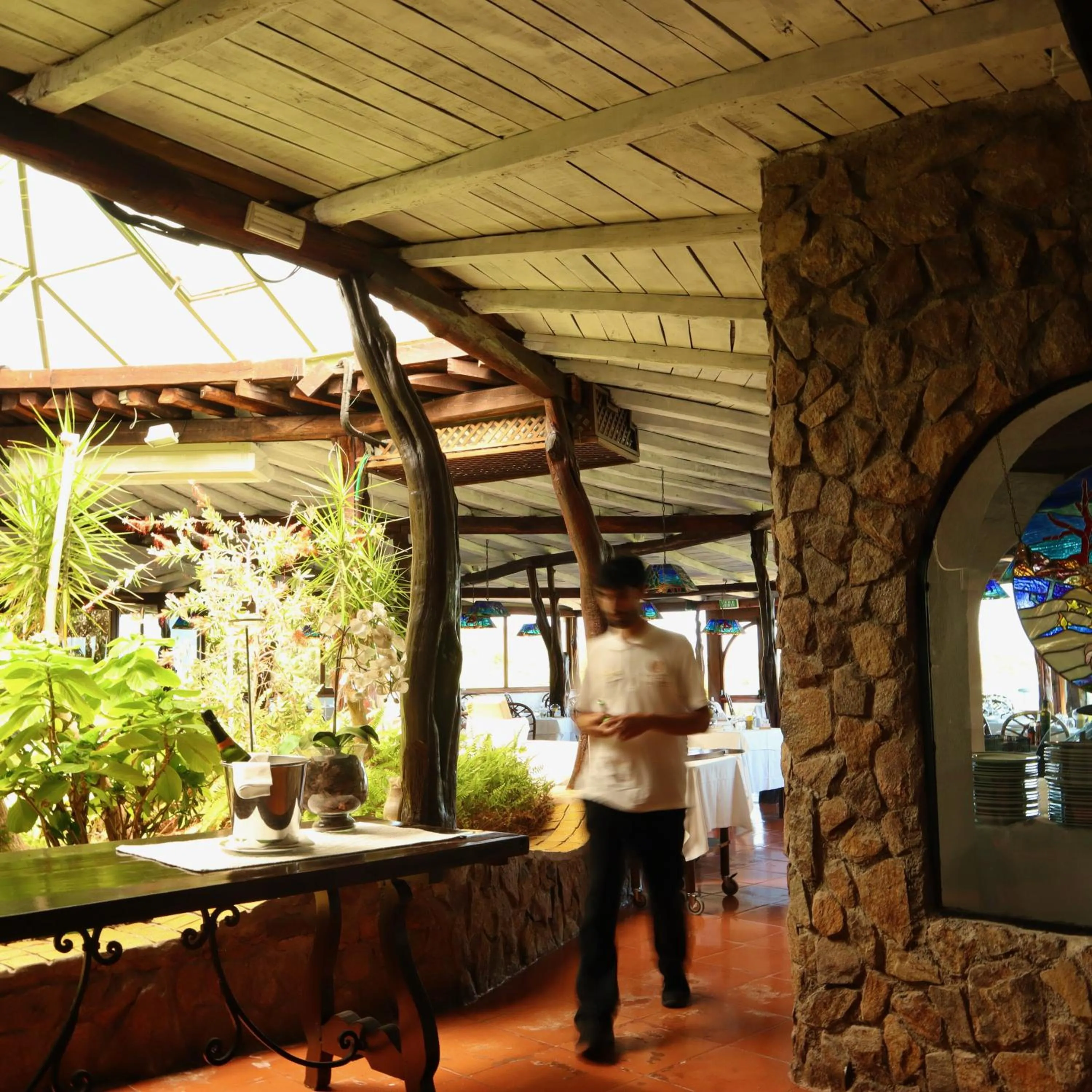 Restaurant/places to eat in Hotel Don Diego