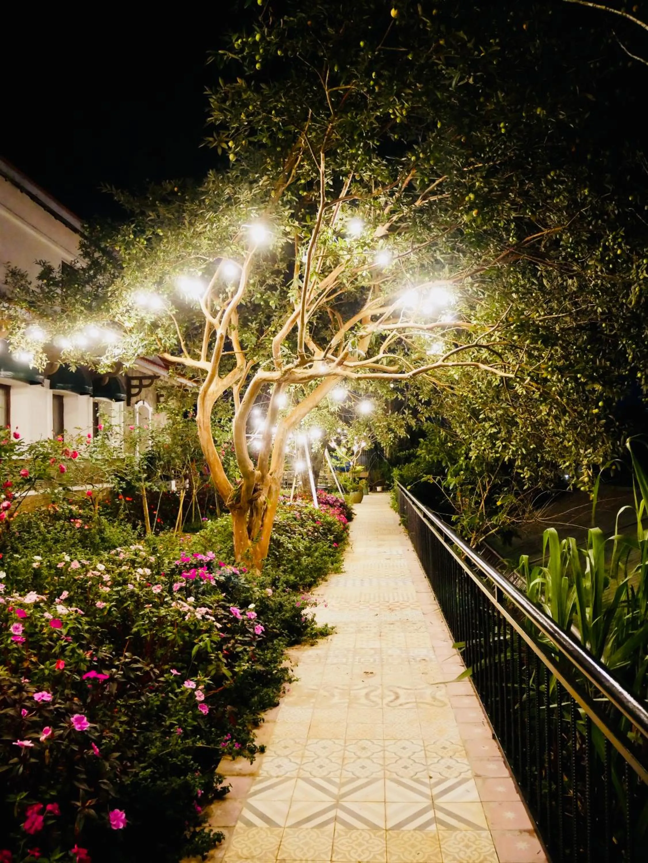 Night in Dalat Train Village