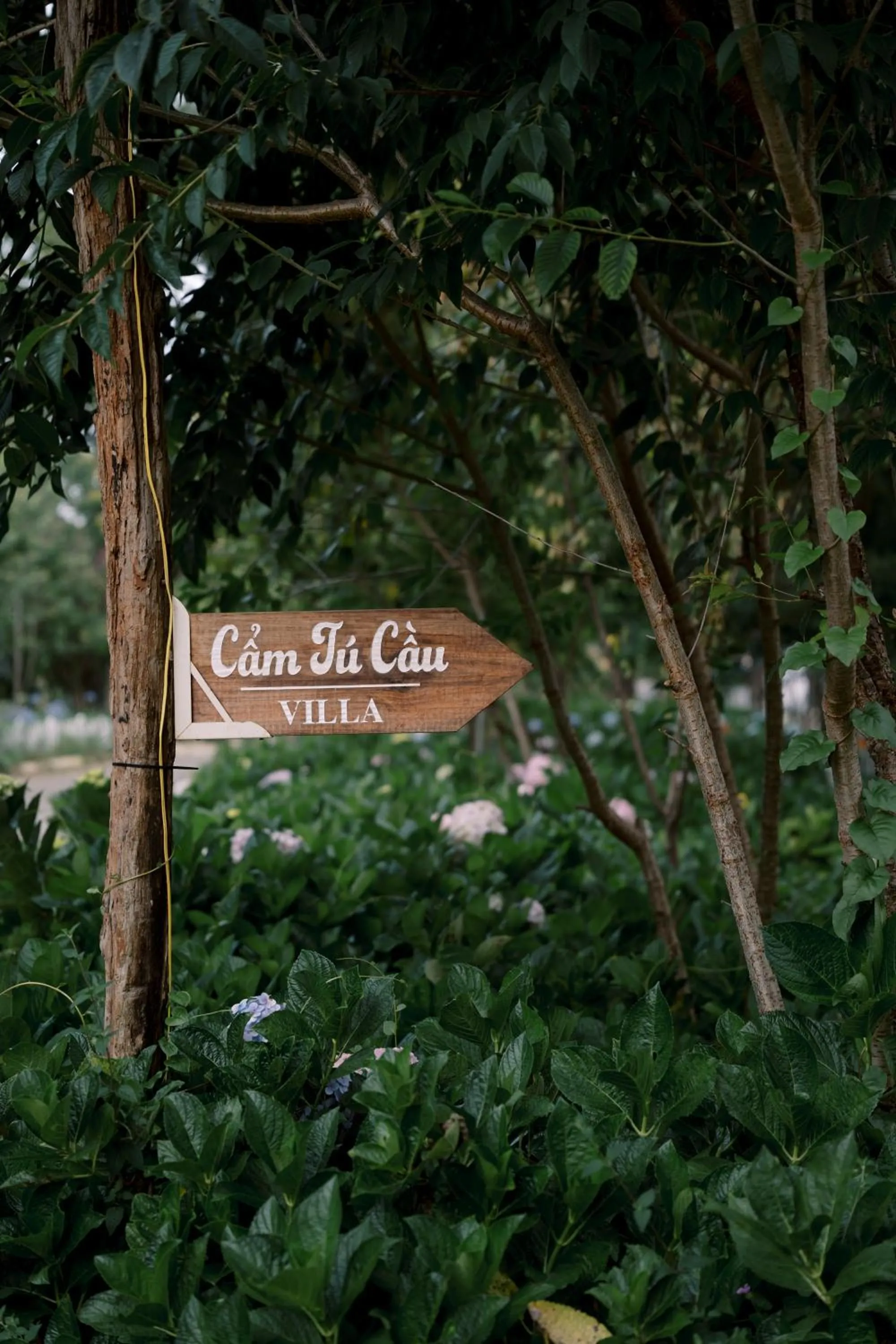 Garden in Dalat Train Village