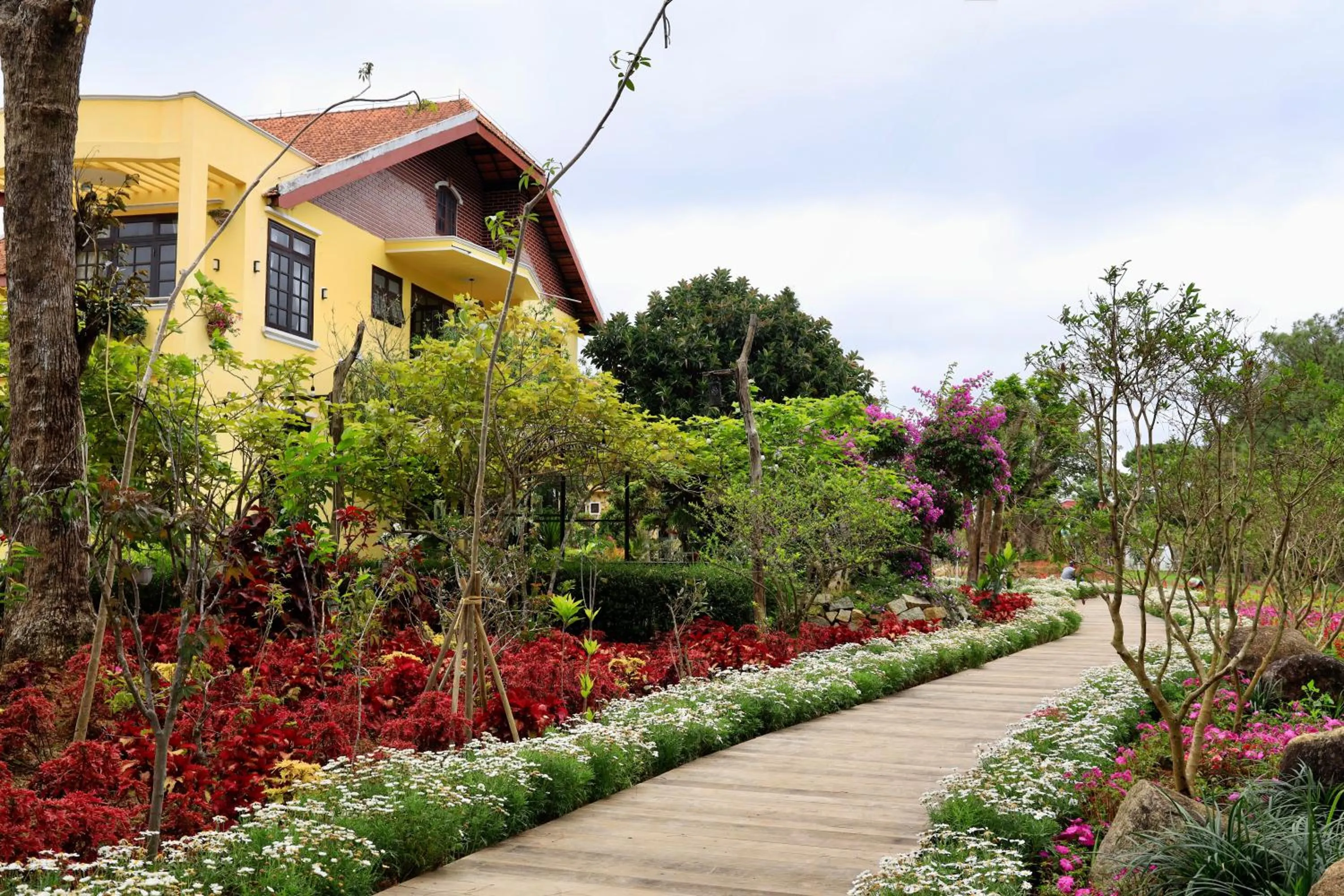 Restaurant/places to eat in Dalat Train Village