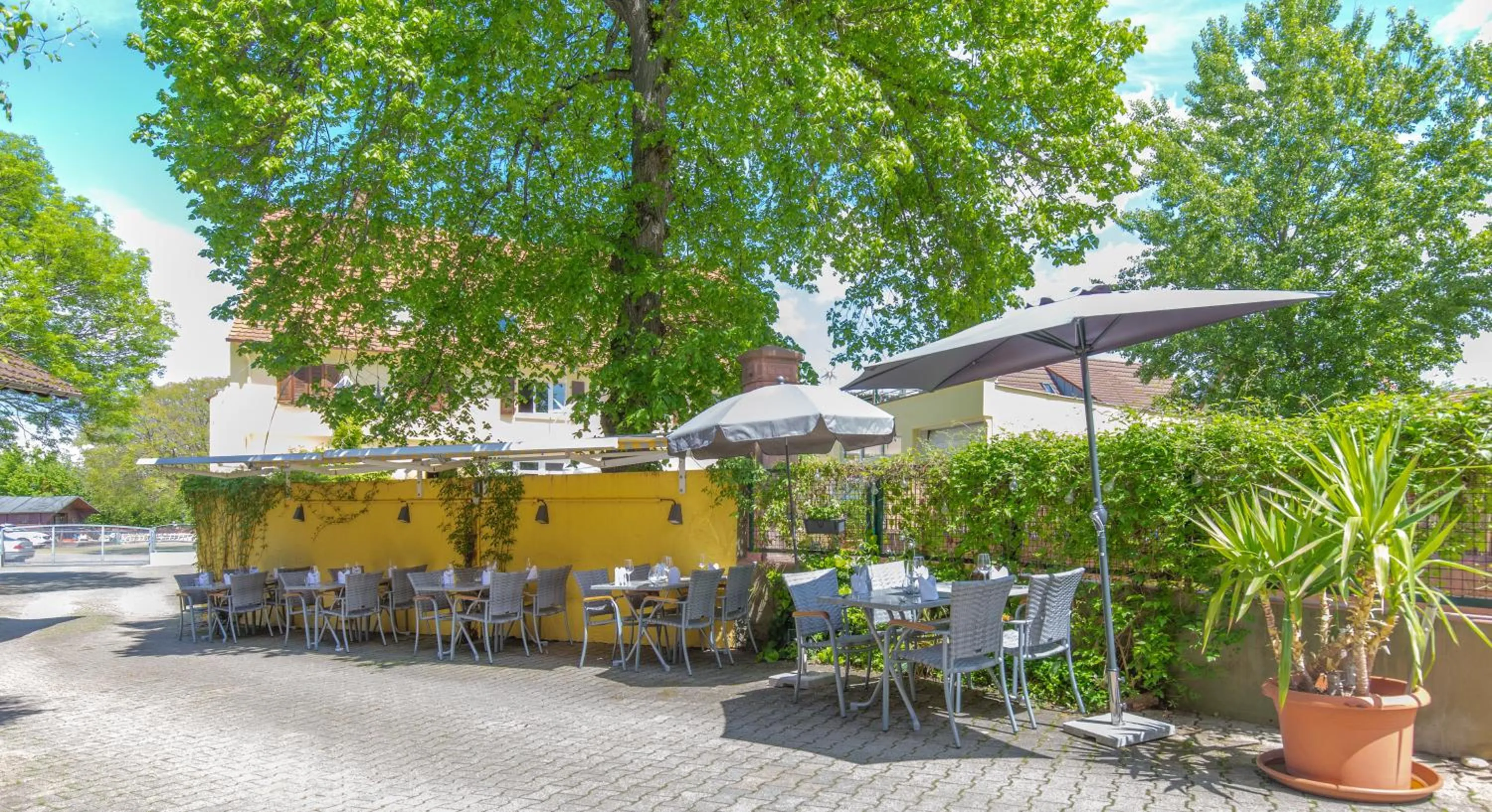 Restaurant/places to eat in Landgasthof zur Sonne