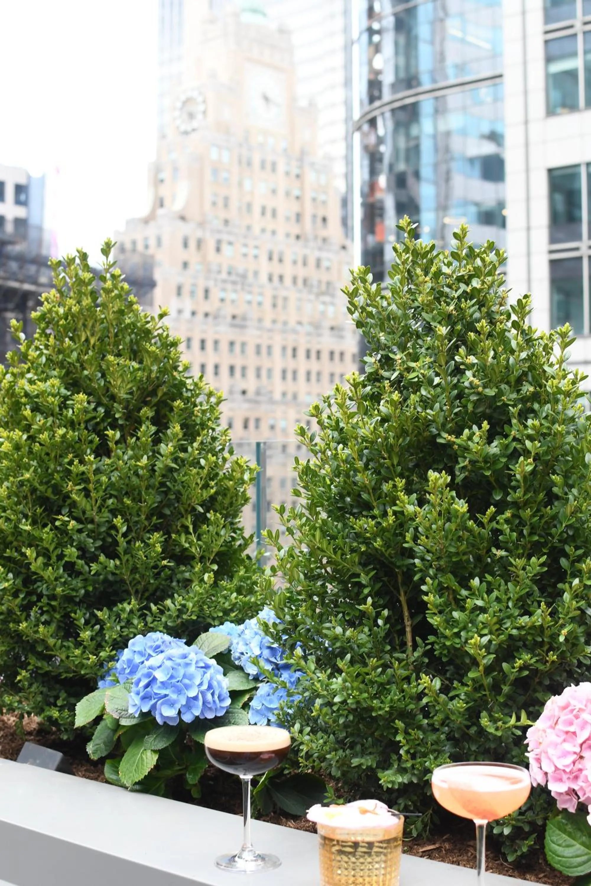 Lounge or bar in The Knickerbocker