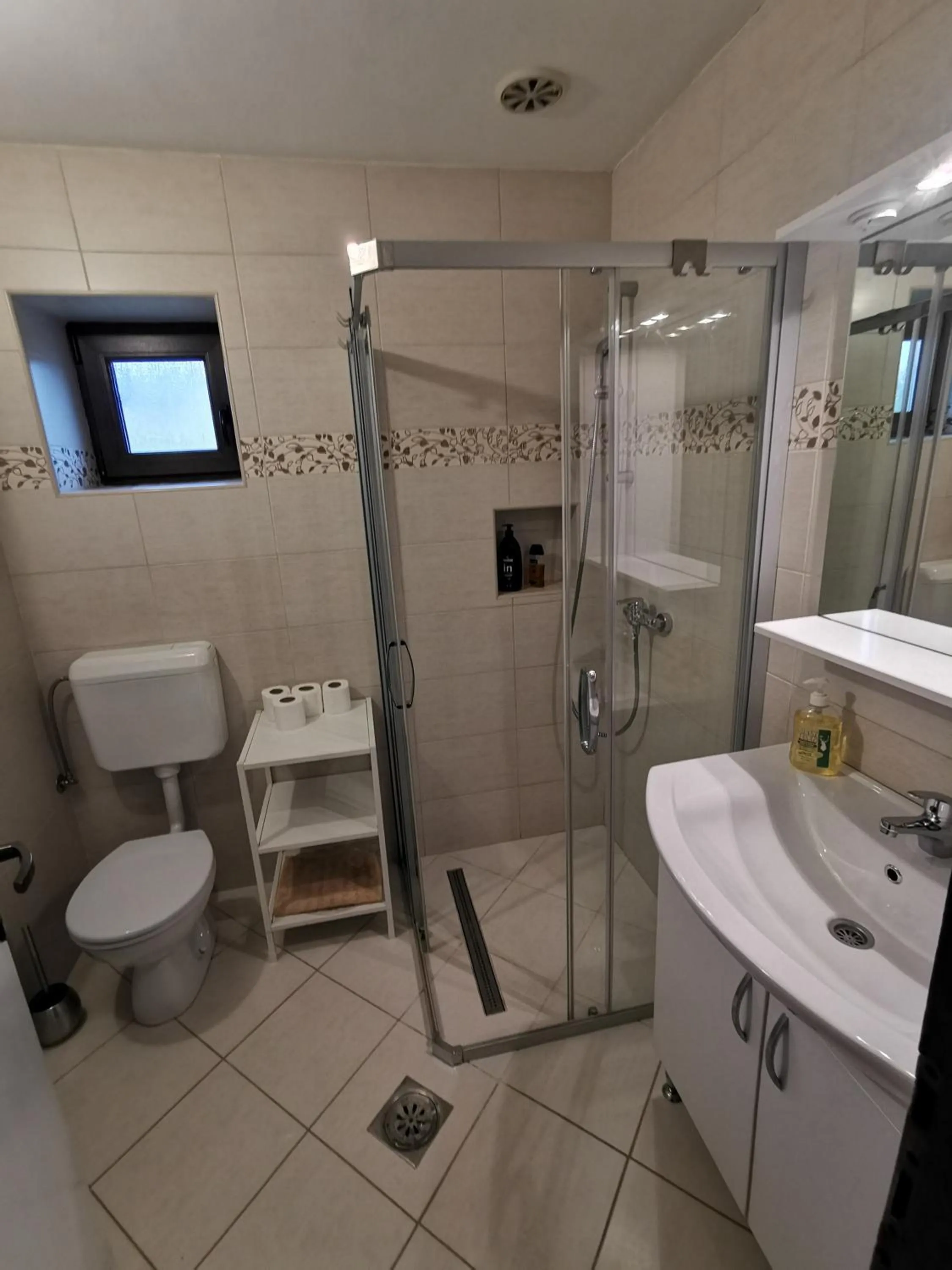 Shower in Apartment Milka