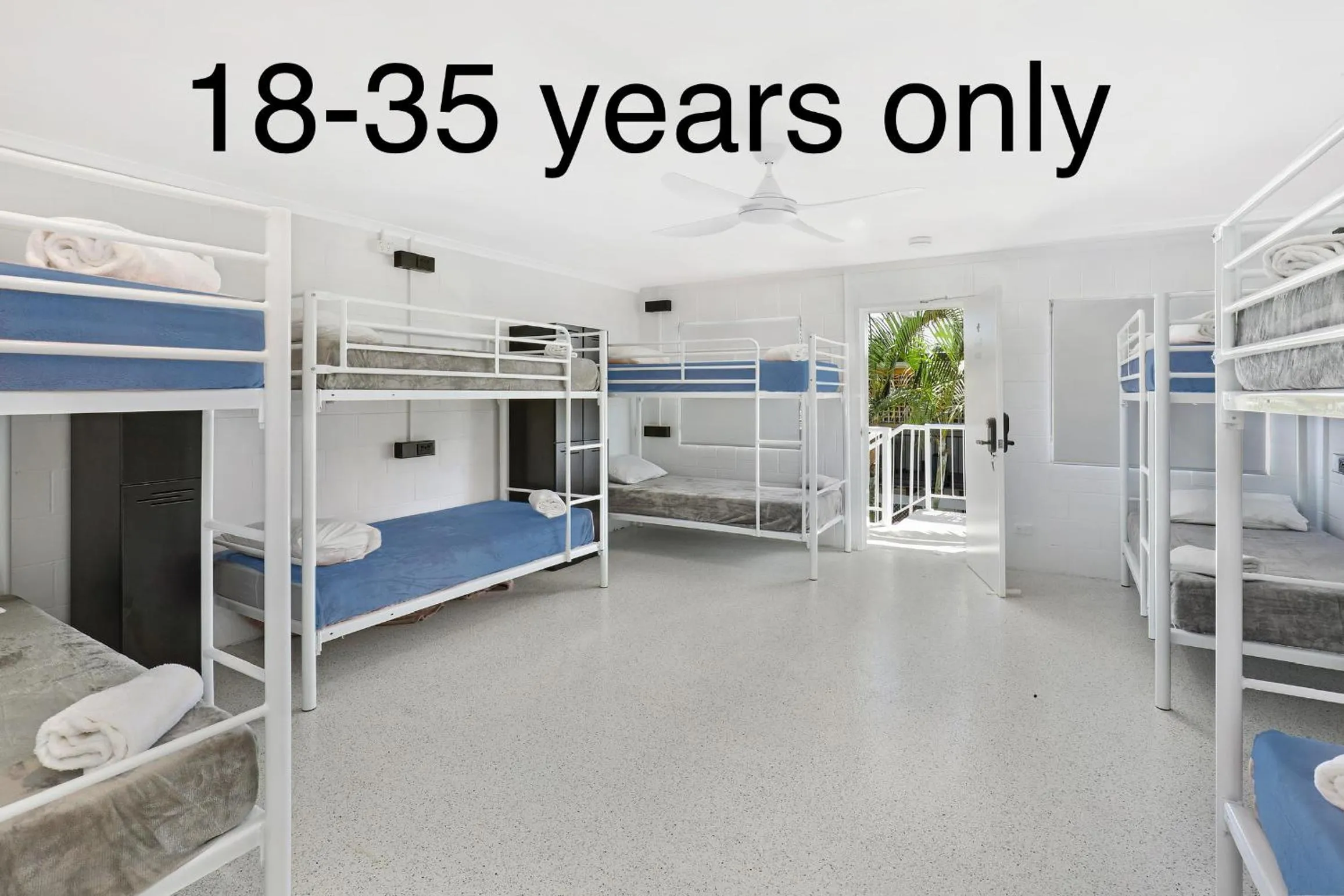 bunk bed, Bed in Palms on Parker Backpackers