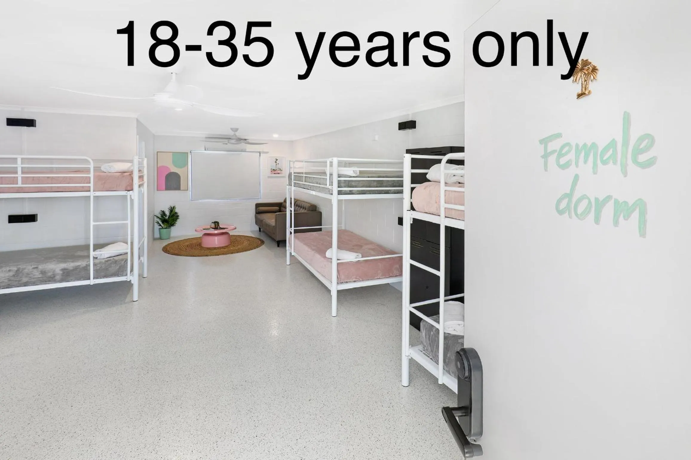 bunk bed, Bed in Palms on Parker Backpackers