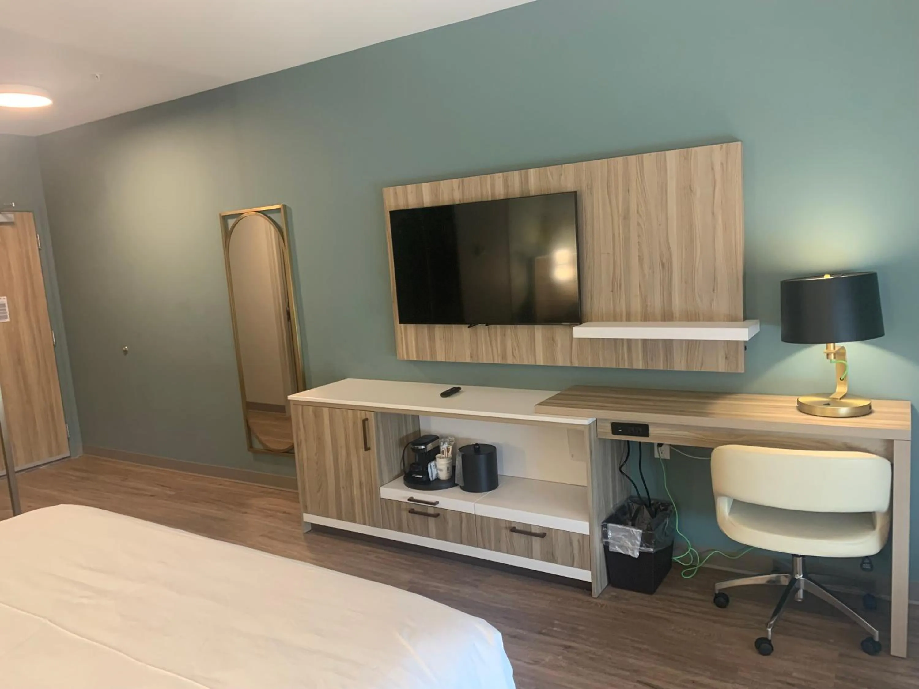 TV and multimedia, Bed in Wyndham Garden Tampa Fairgrounds/Casino