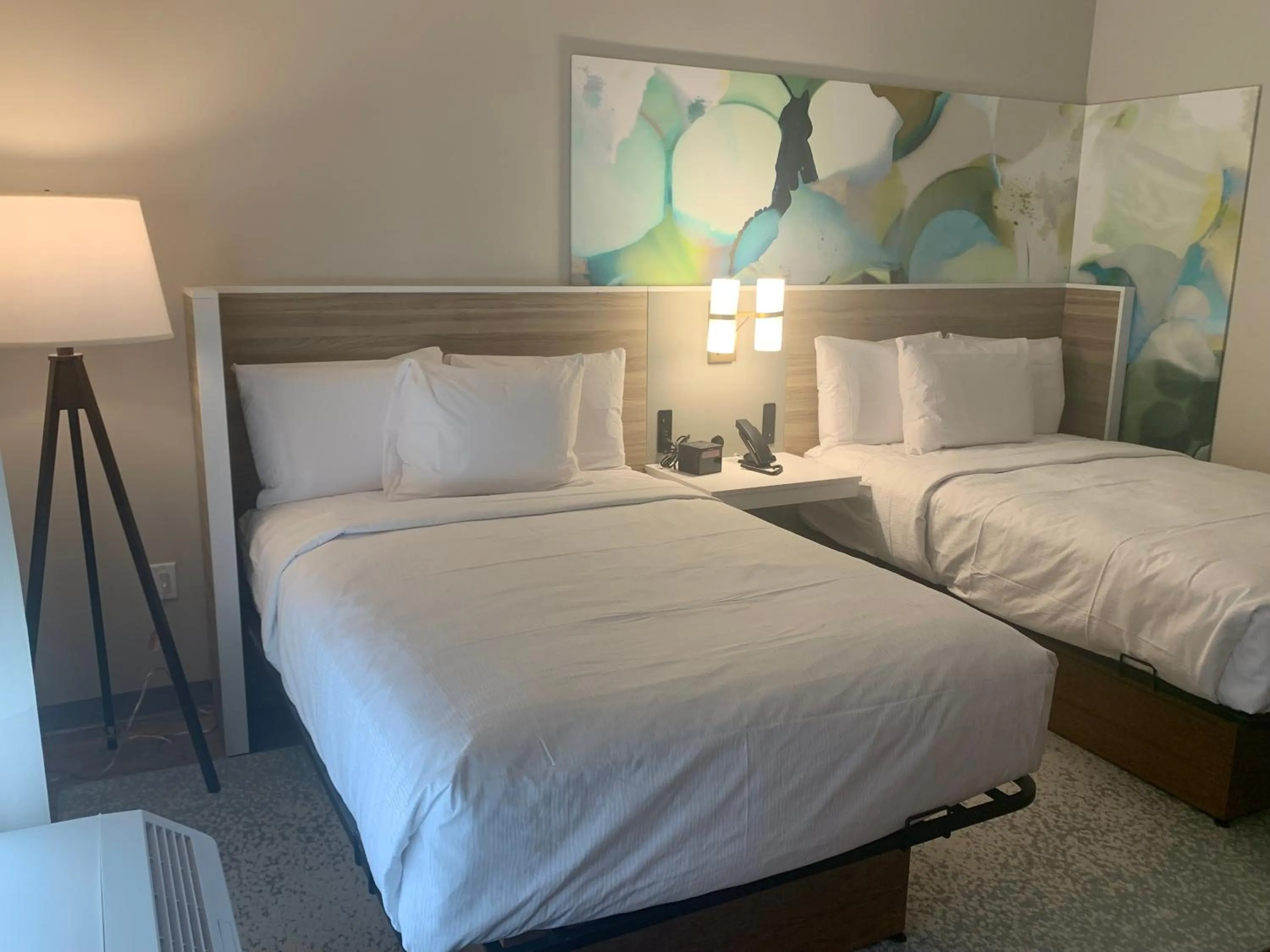 Photo of the whole room, Bed in Wyndham Garden Tampa Fairgrounds/Casino