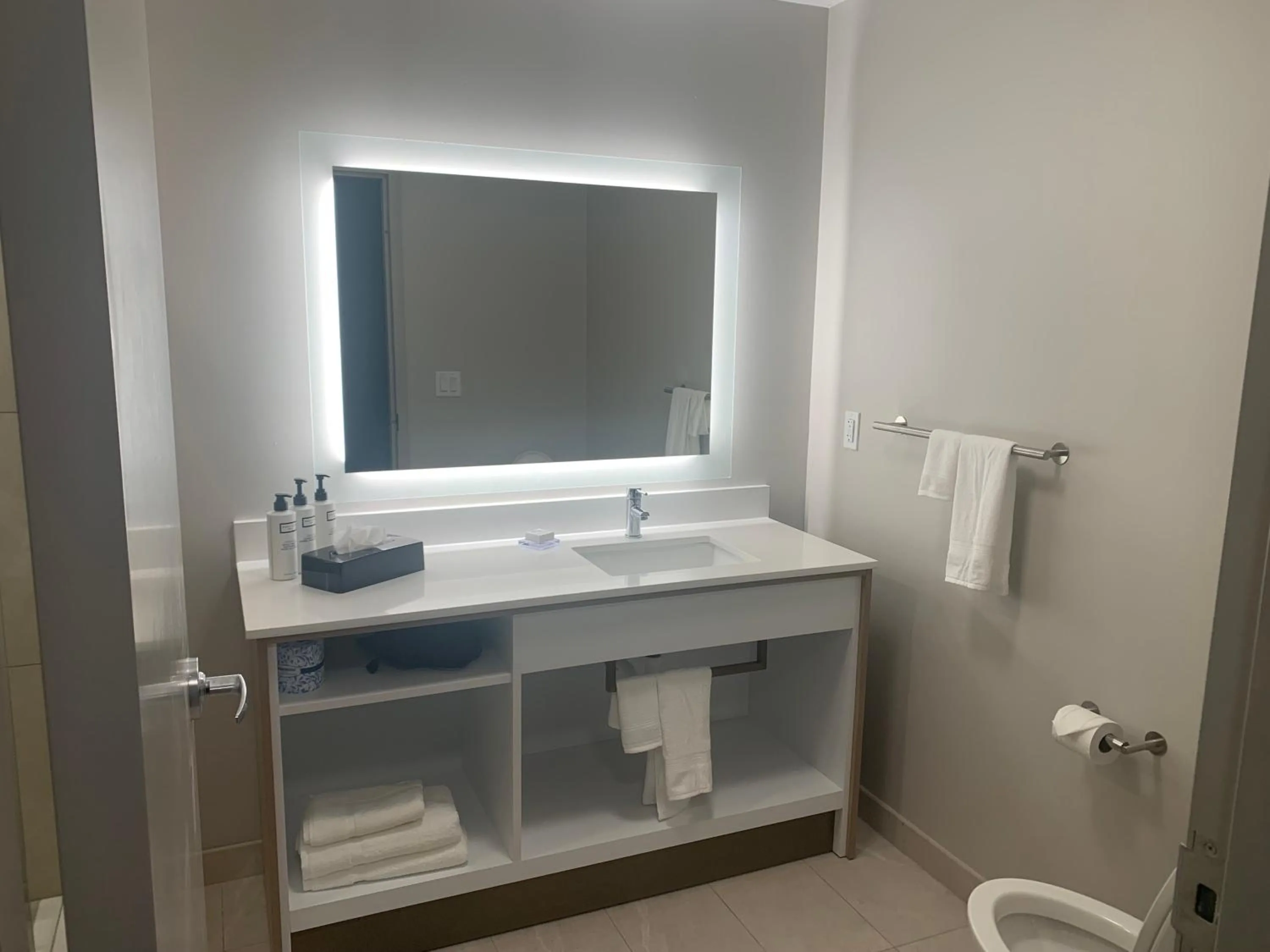 Bathroom in Wyndham Garden Tampa Fairgrounds/Casino