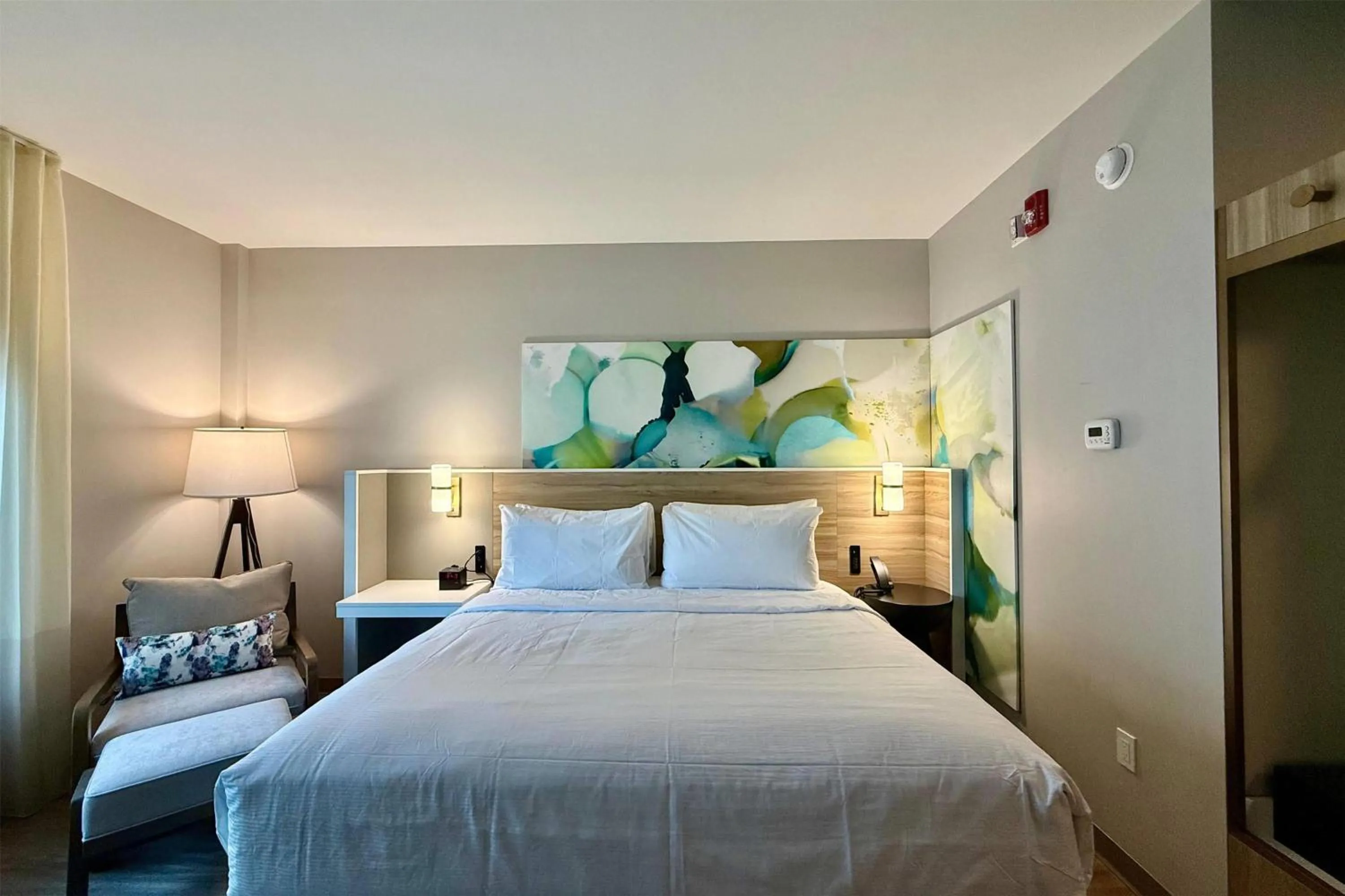 Photo of the whole room, Bed in Wyndham Garden Tampa Fairgrounds/Casino