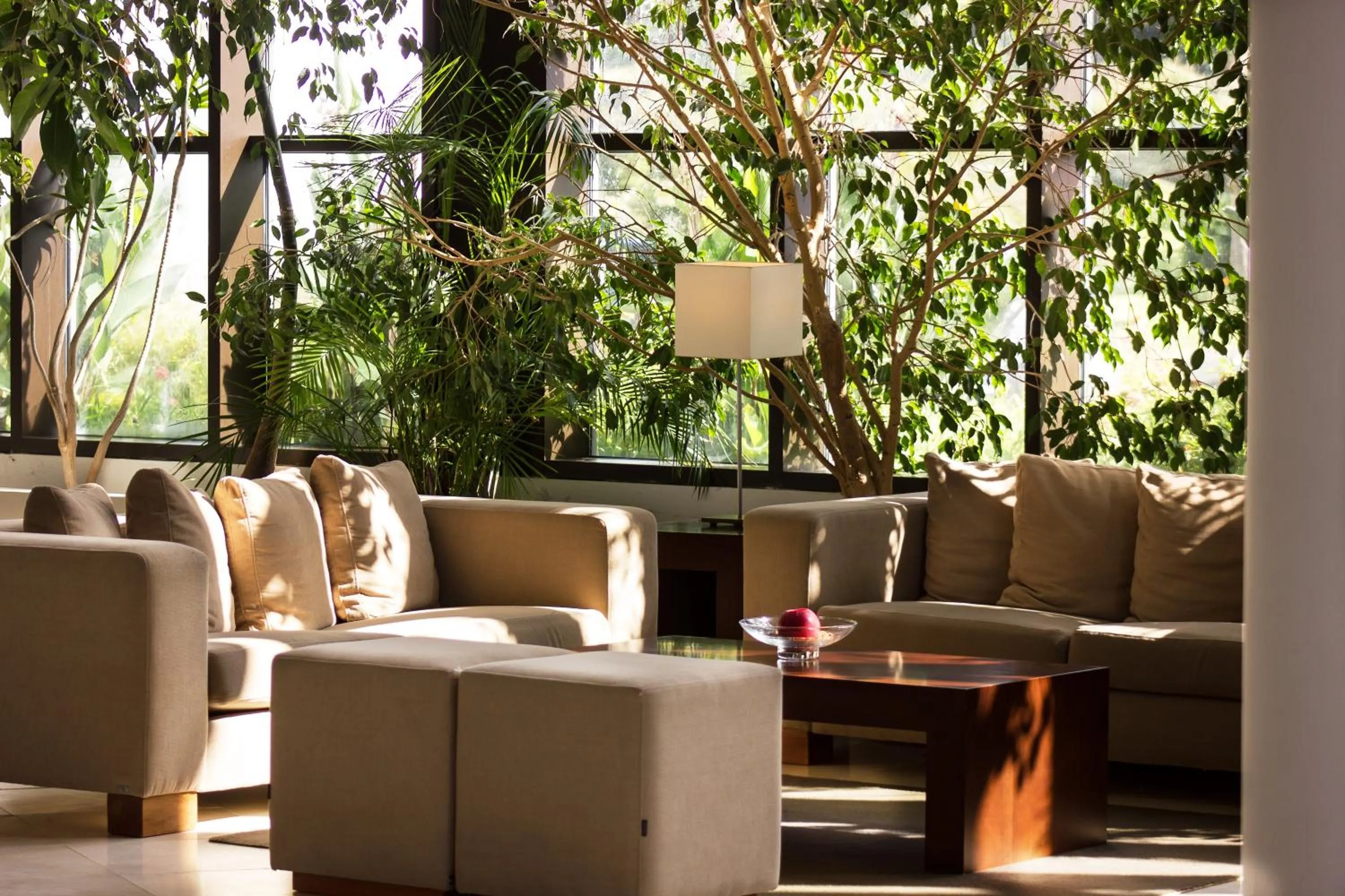 Lobby or reception in Caloura Hotel Resort