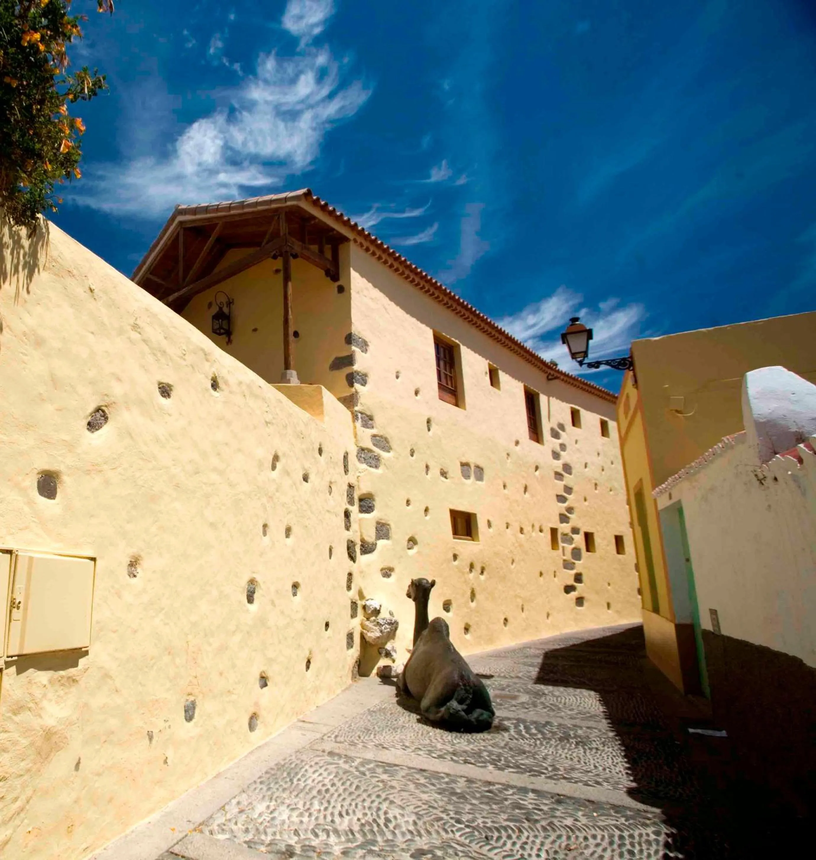 Area and facilities in Hotel Rural Casa de Los Camellos