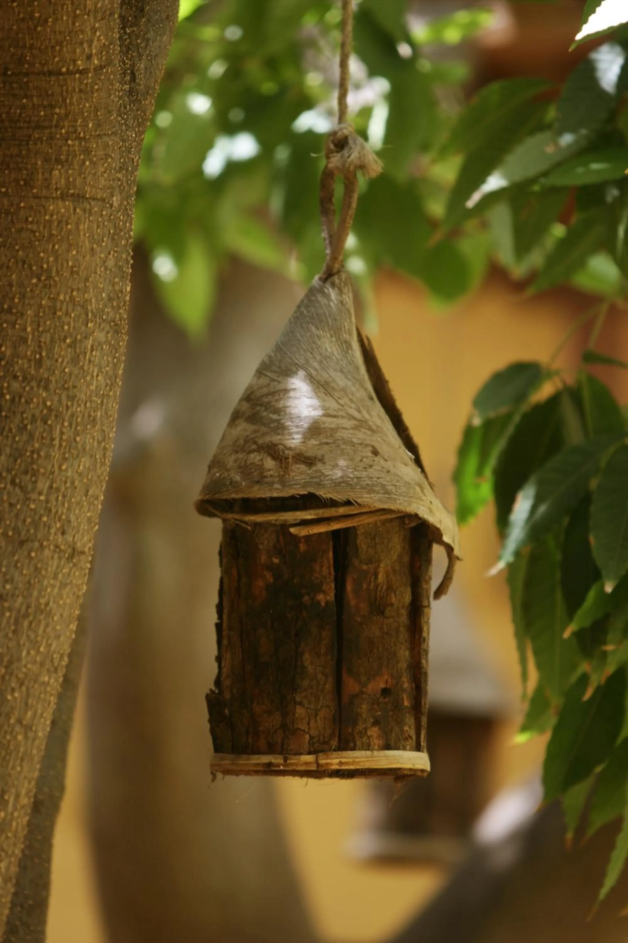 Garden in Hotel Rural Casa de Los Camellos