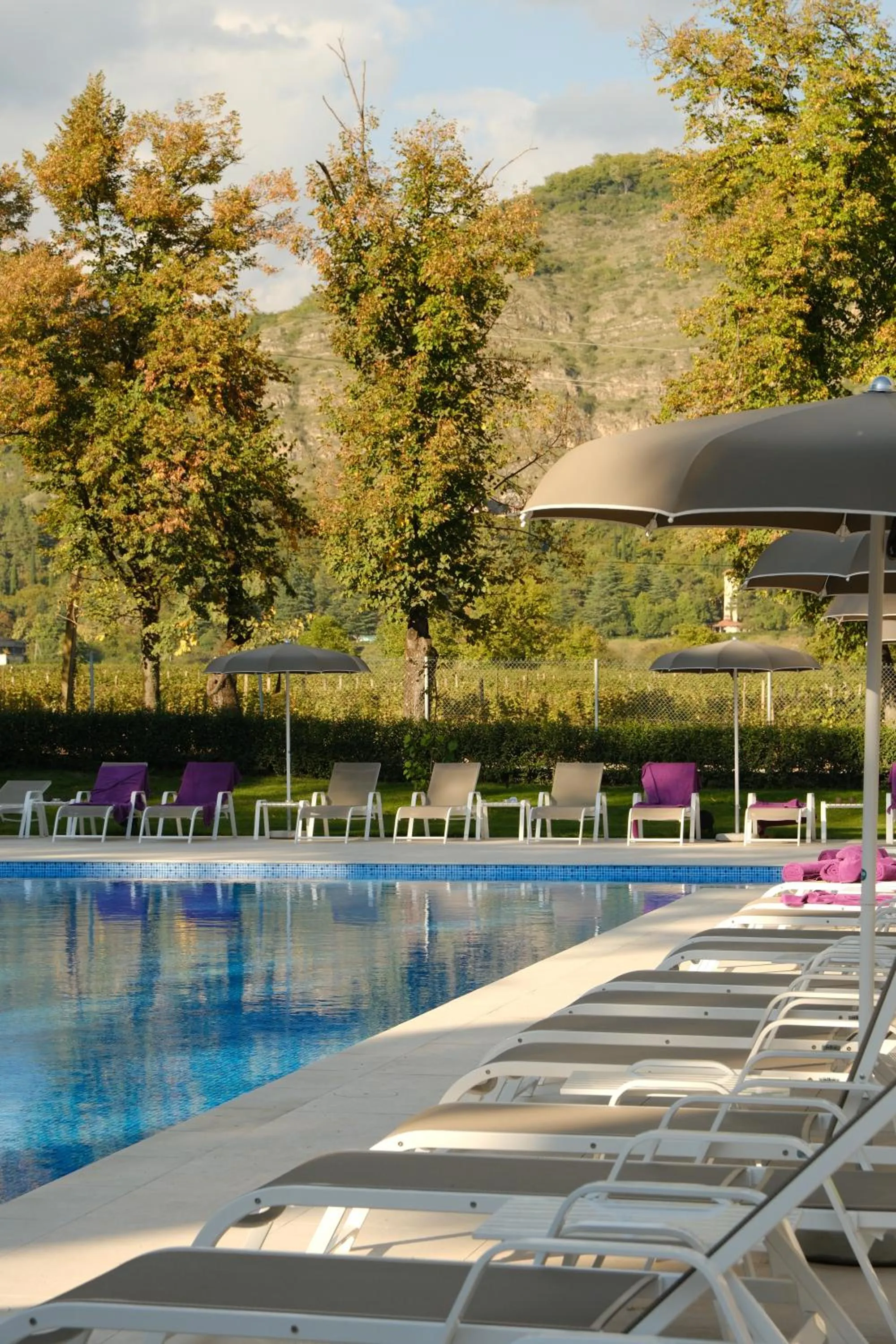 Swimming pool in Samzeo Kvareli