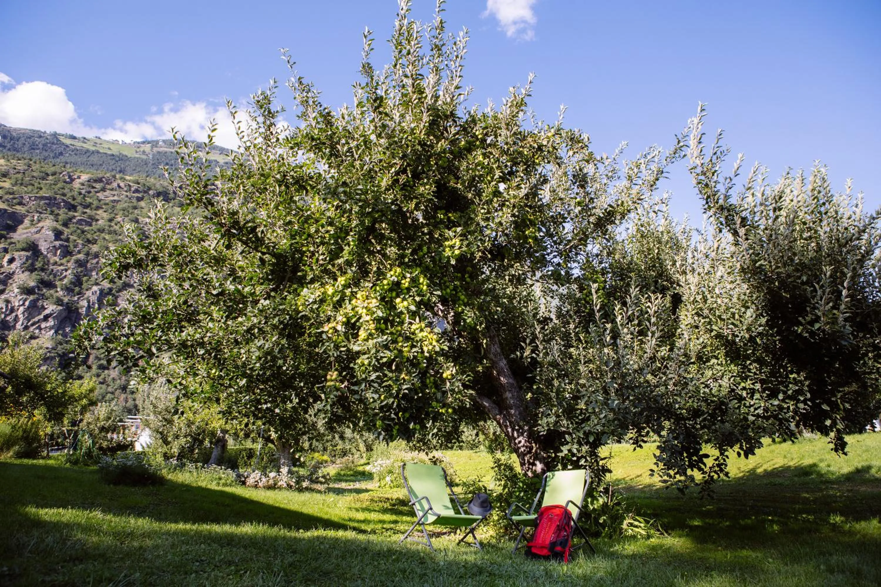 Garden in Garni - Hotel Rinner Julia