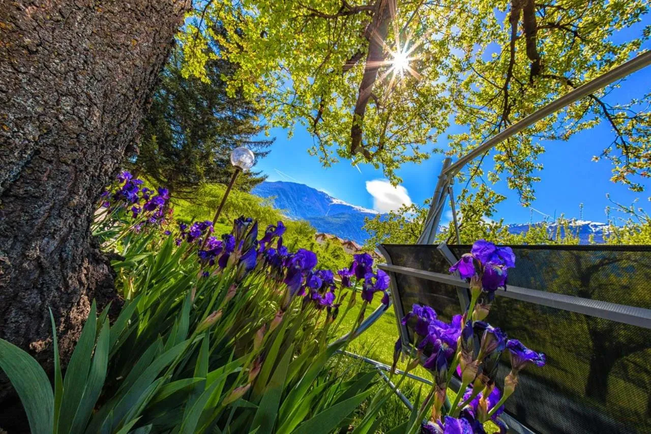 Garni - Hotel Rinner Julia