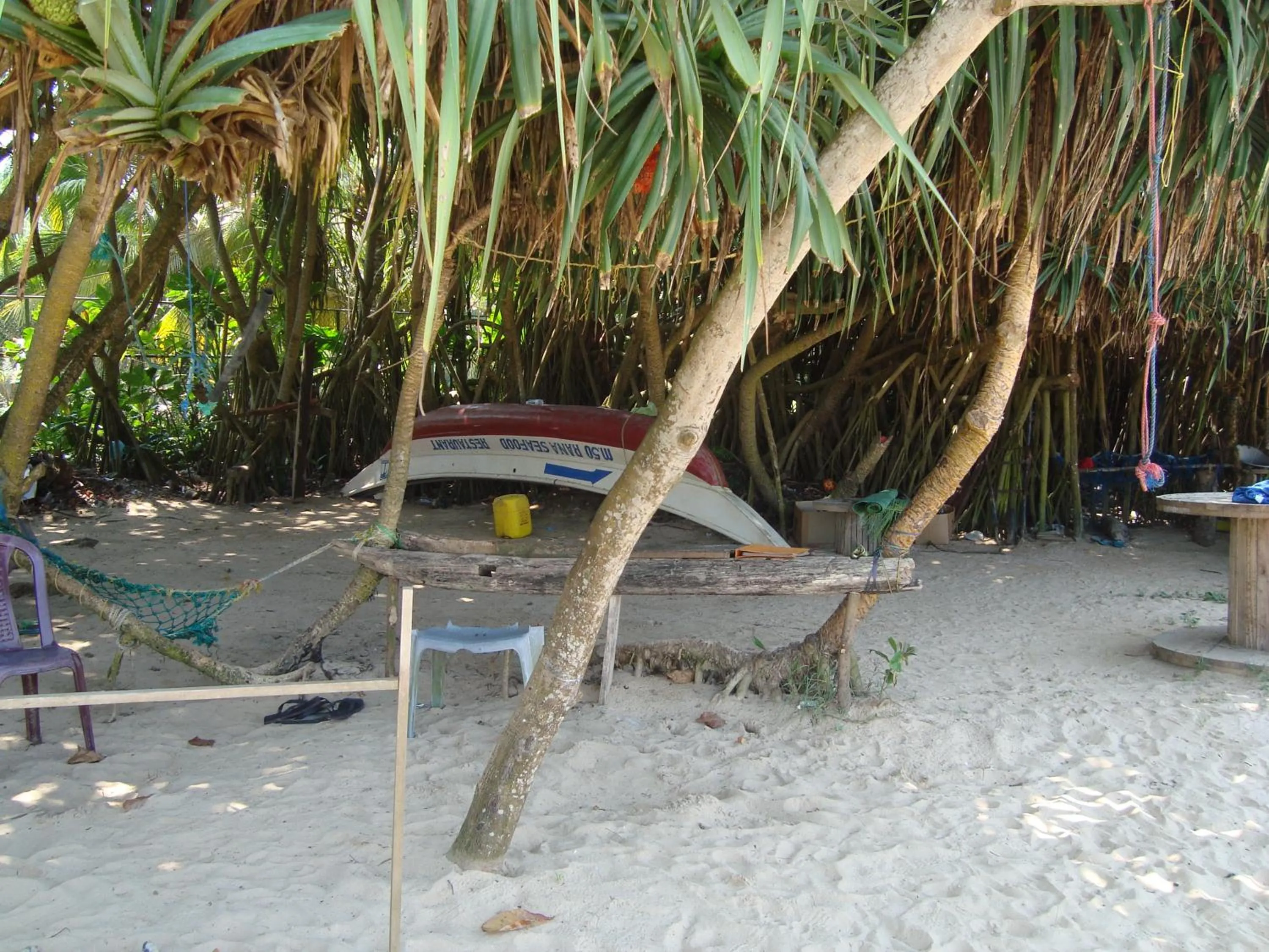Natural landscape in New White Villa
