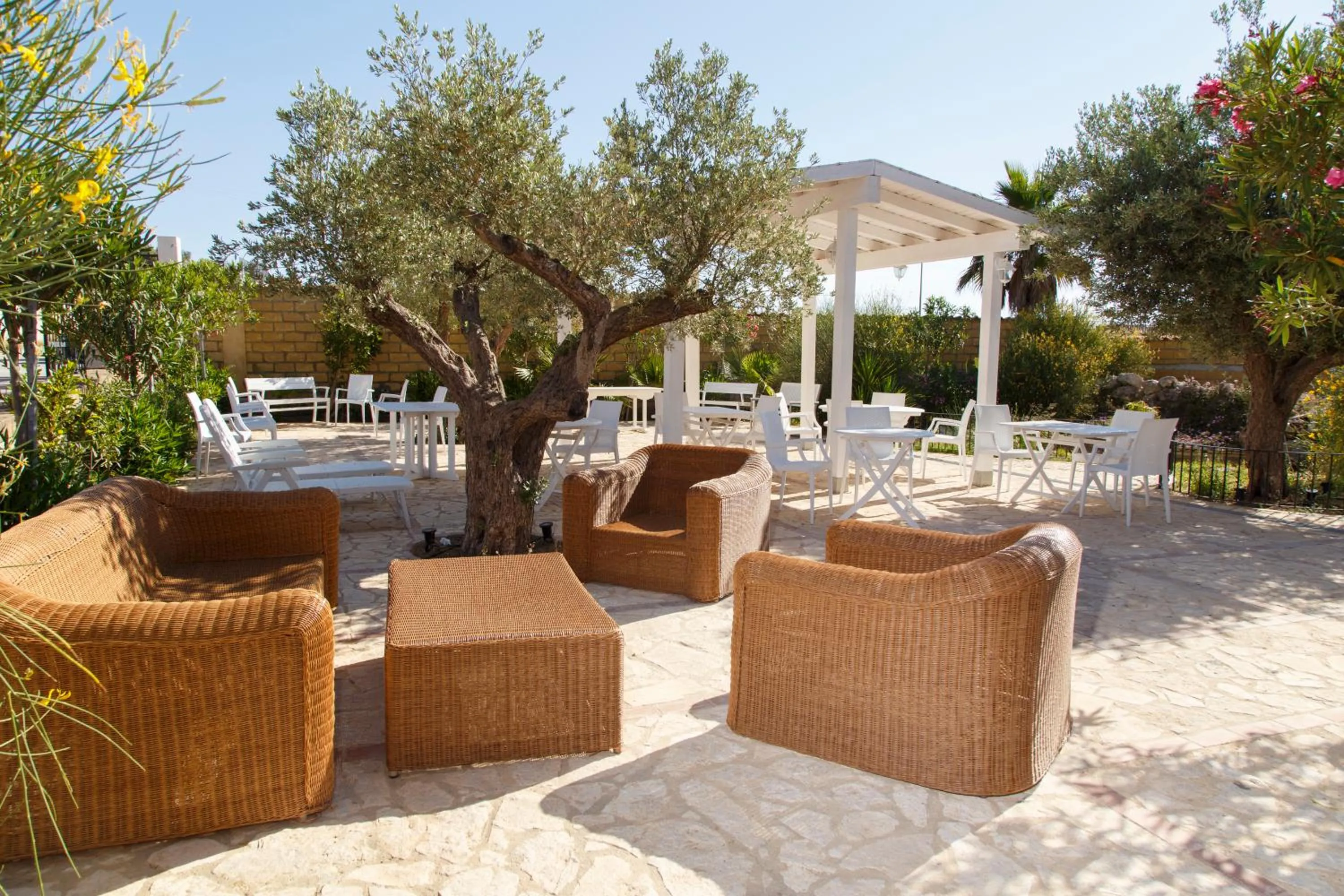 Garden in B&B Montemare