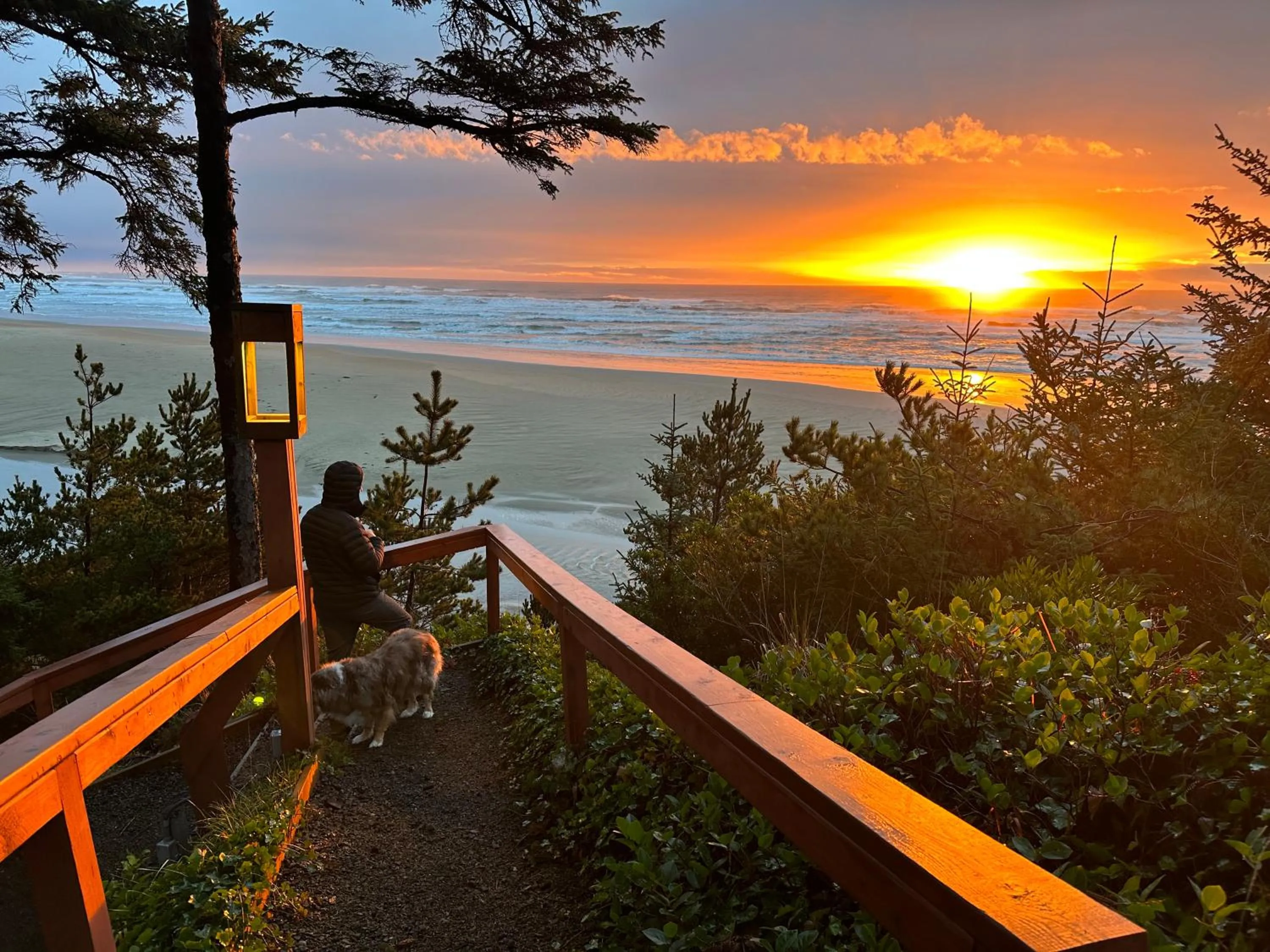 Beach in Starfish Point