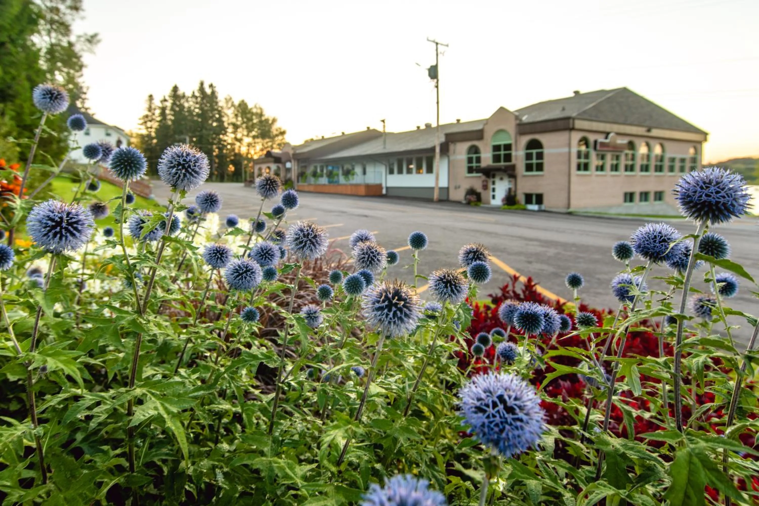 Property building in Ermitage Saint-Antoine
