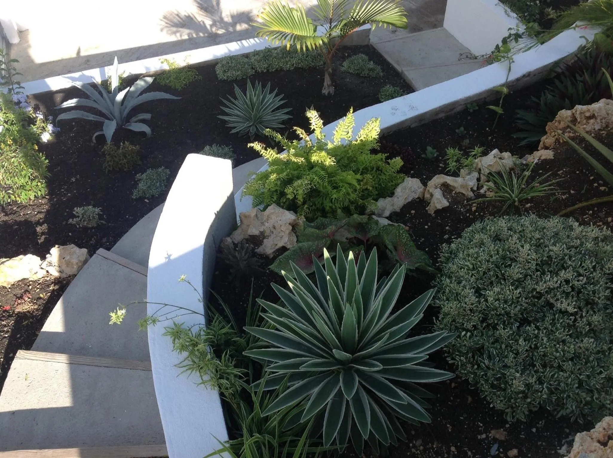 Day in Villa Shenandoah