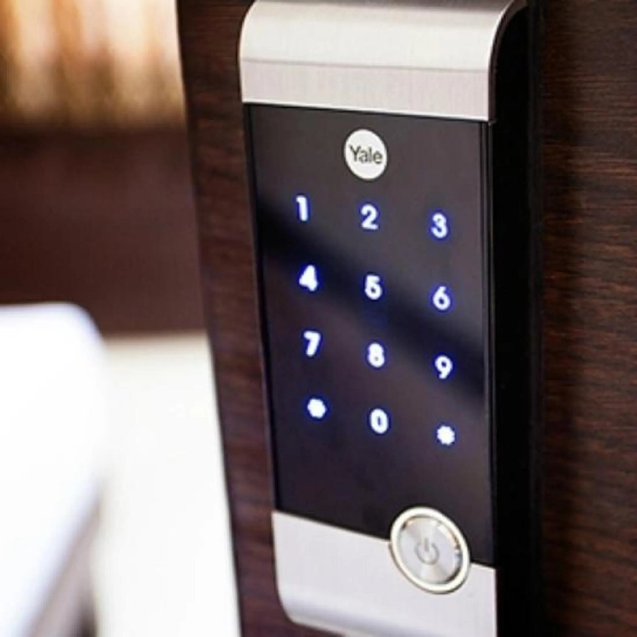 Other in Ananyas Nest